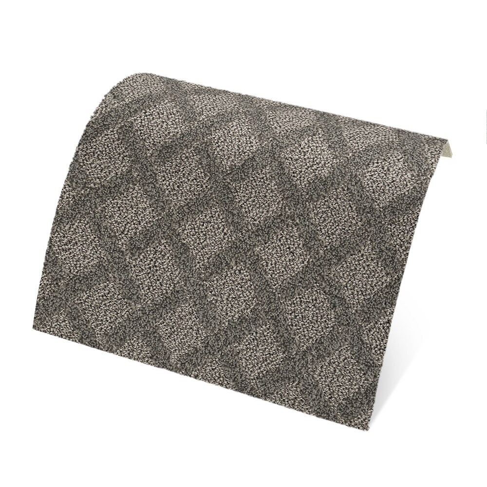 STAINMASTER STP59-L011-0808 Carpet-Samples - View #4