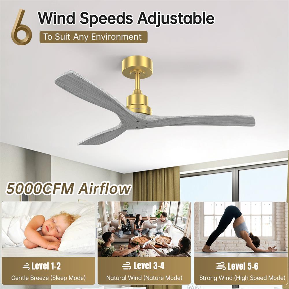 Sofucor LW-5247-BG-DC-WD Ceiling-Fans - View #5