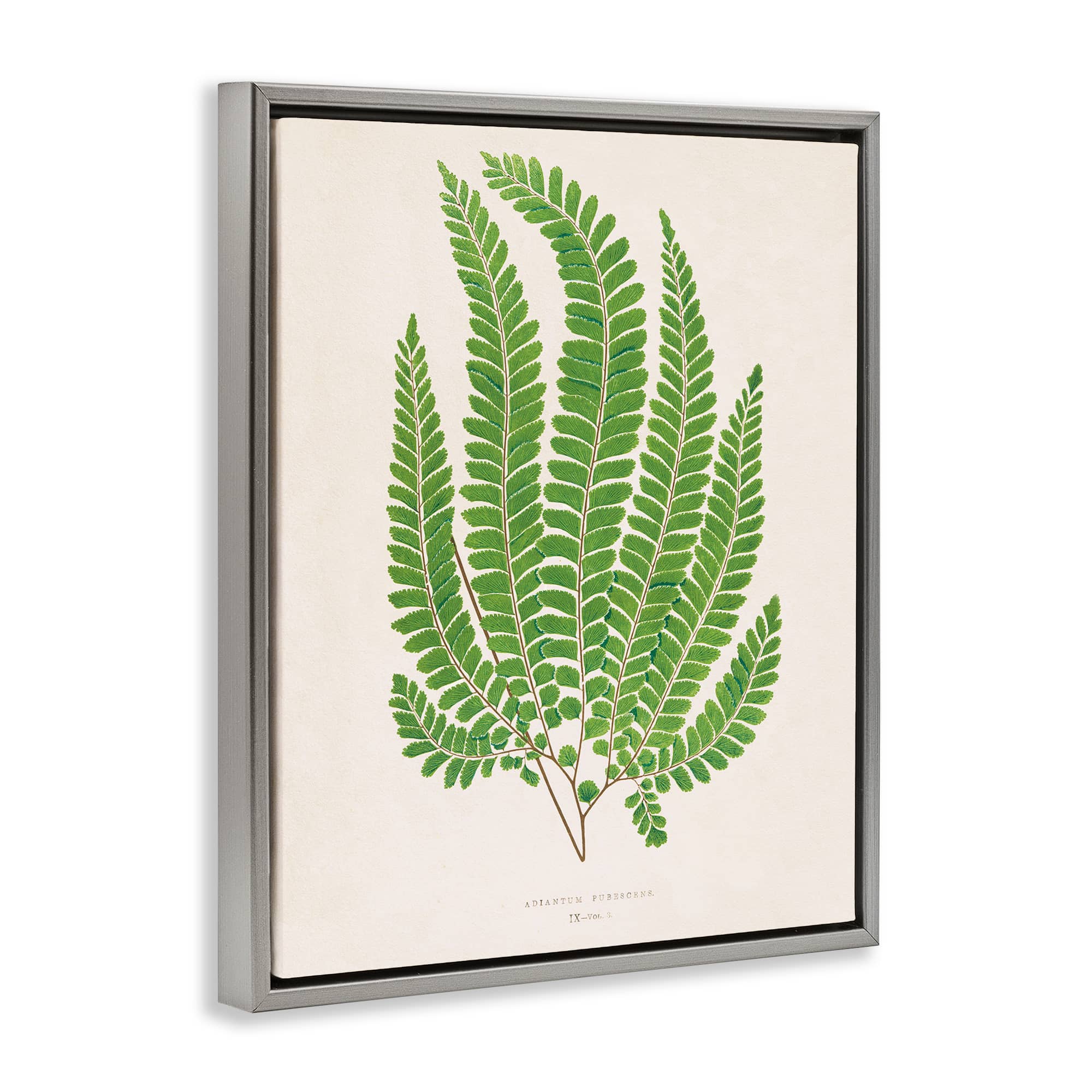 Stupell Industries BT-467-FFL-24X30 Wall-Art - View #2
