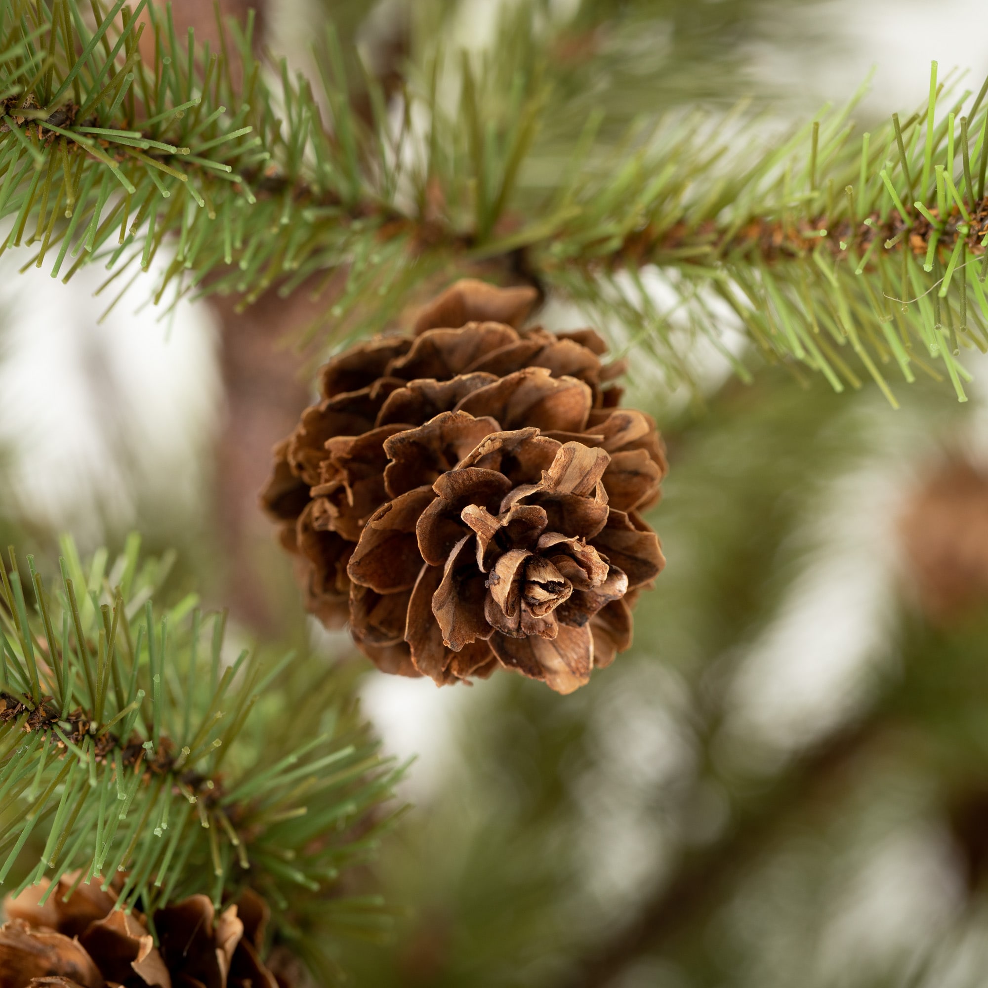 Sullivans TR1178 Artificial-Christmas-Trees - View #2