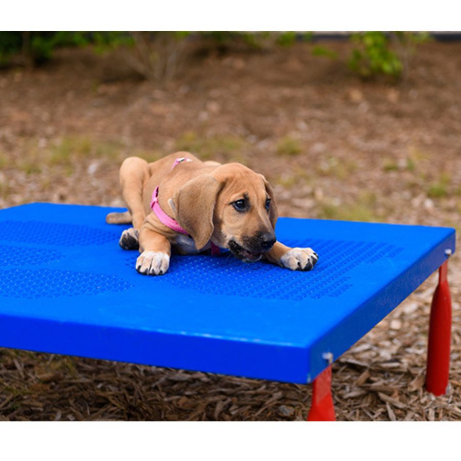 Dog Park Equipment - Dog Park Amenities - Park Warehouse