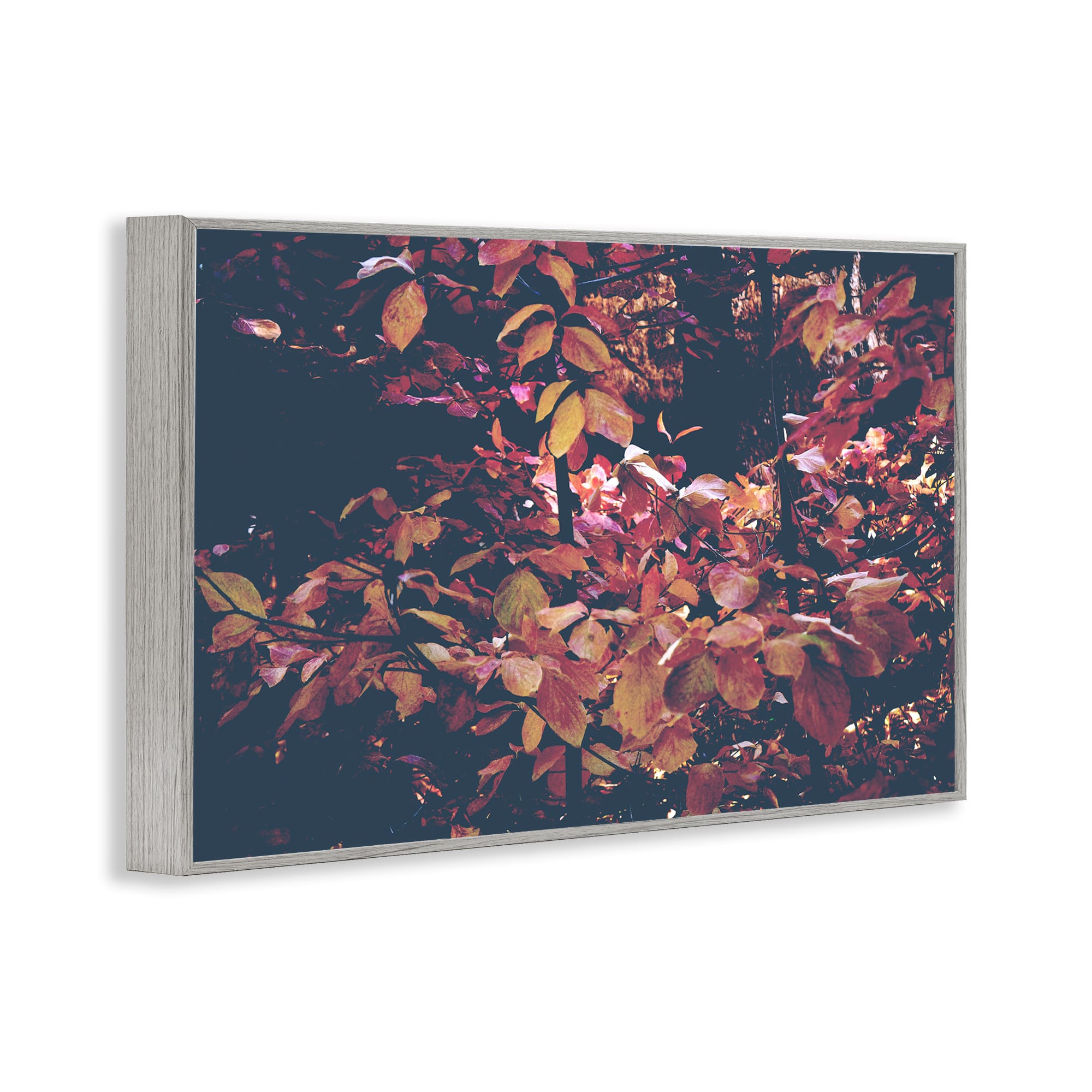 Stupell Industries BU-141-GFF-12X18 Wall-Art - View #2