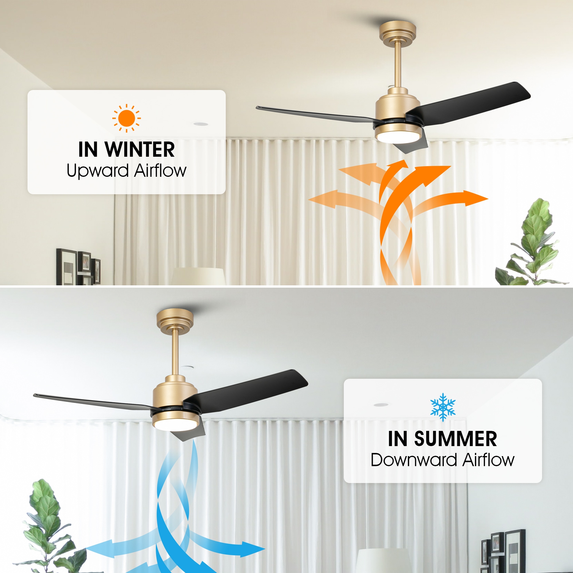 VACZON VZA01A116GD Ceiling-Fans - View #9