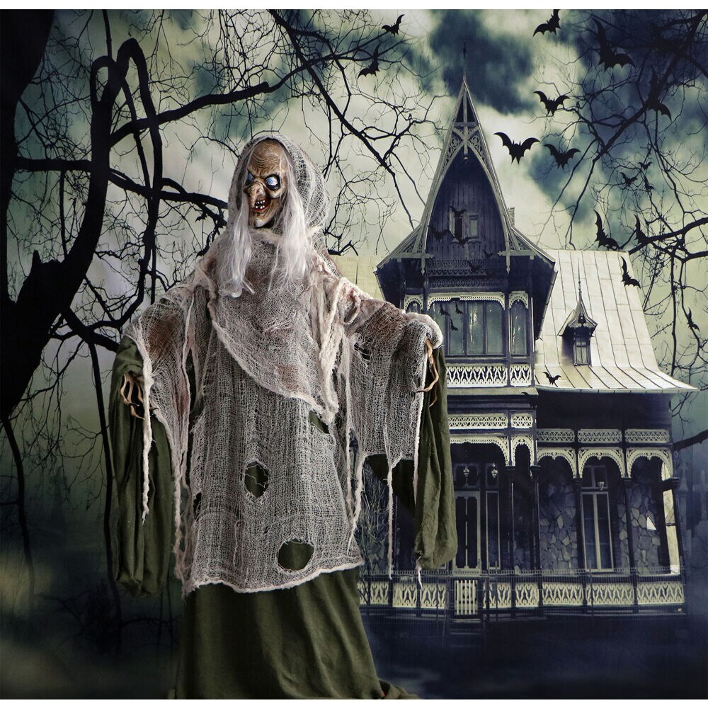 Haunted Hill Farm HHWITCH-7FLSA Halloween-Animatronics - View #10