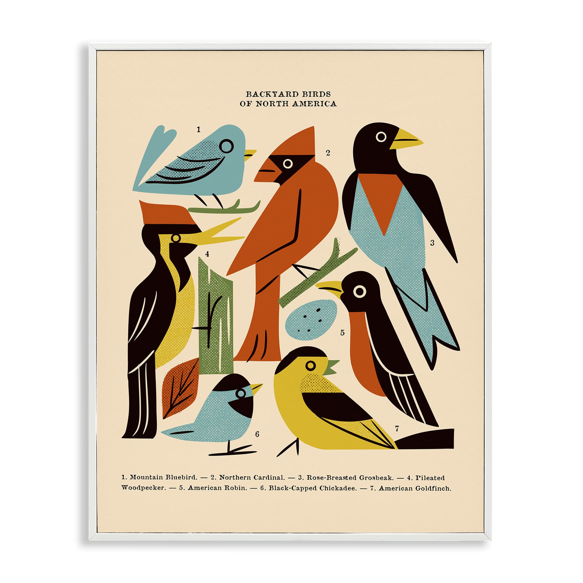 Stupell Industries Backyard Birds Midcentury Modern White Framed Giclee Art 16 x 20