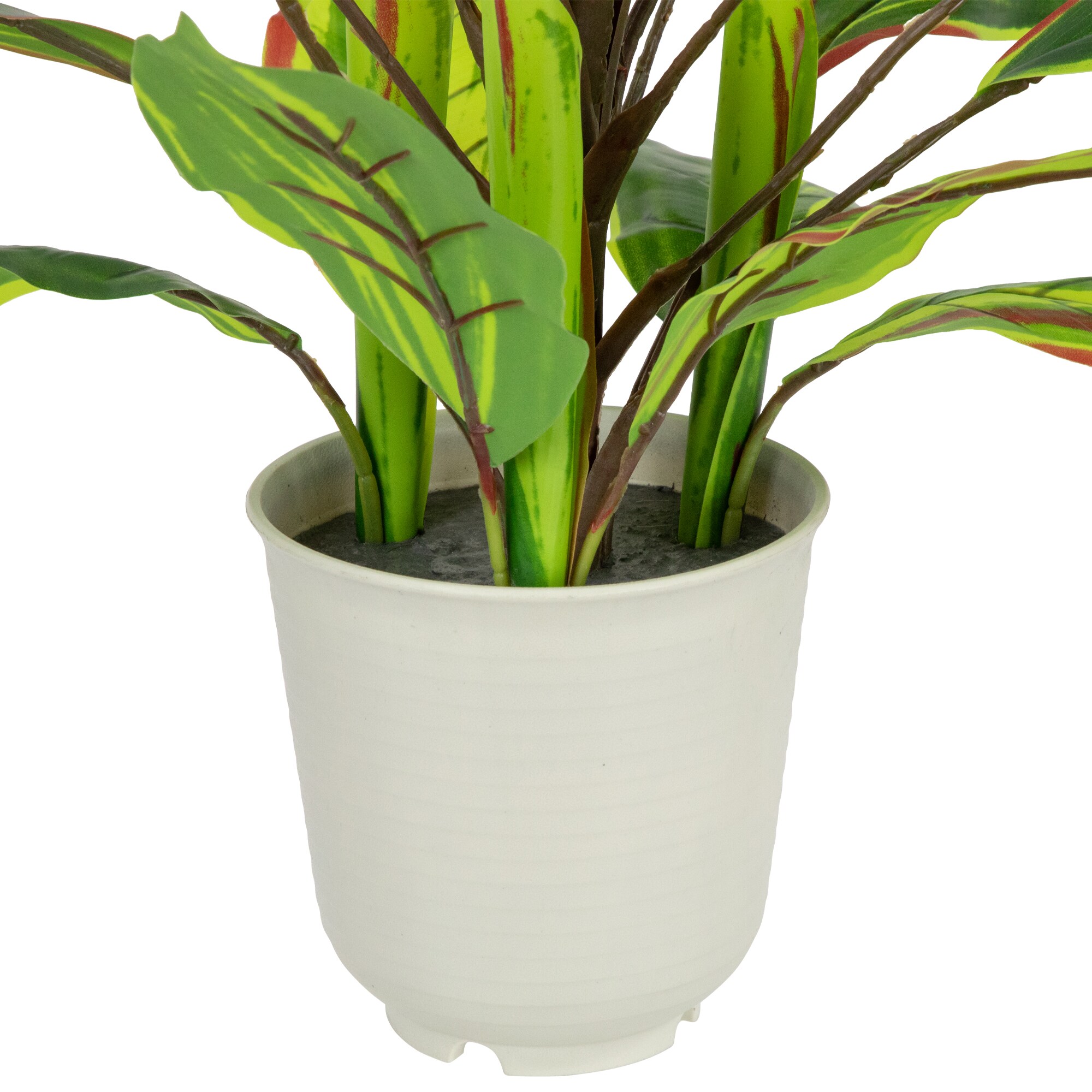 Northlight 32036524 Artificial-Plants-Trees - View #6