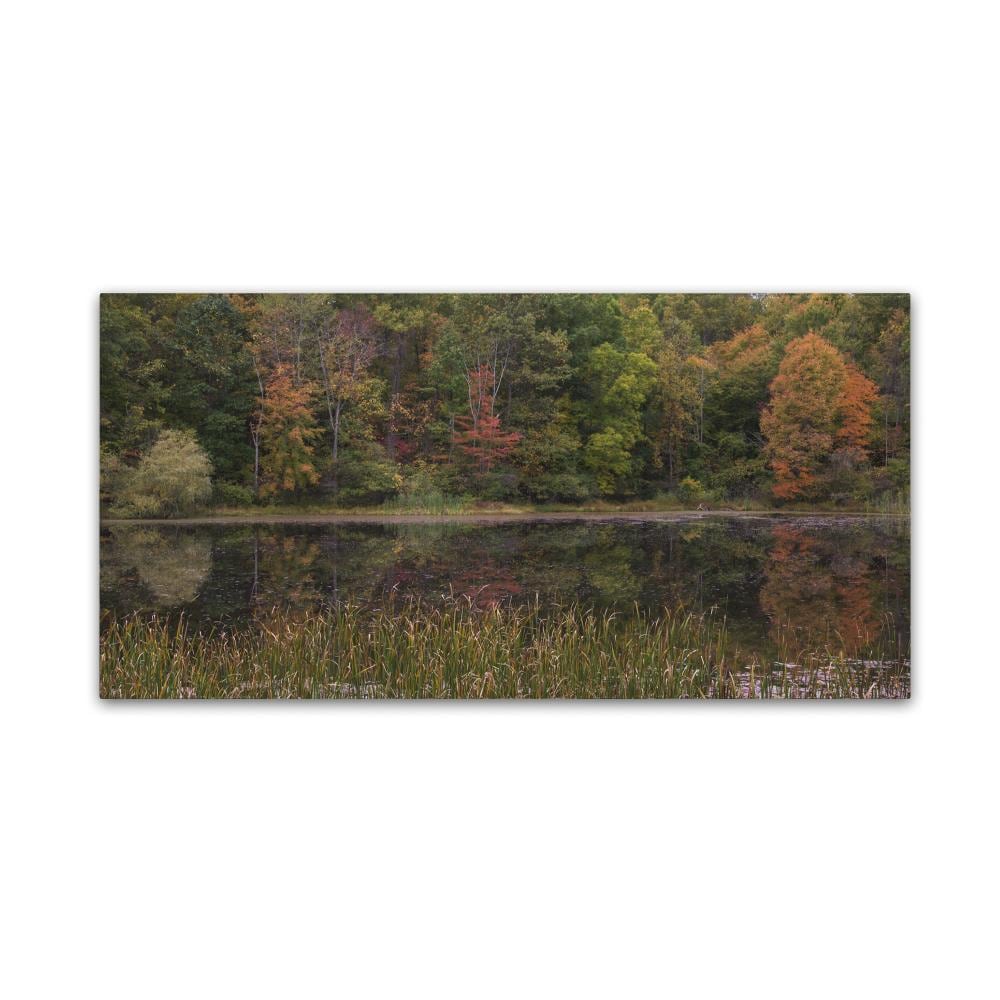 Trademark Fine Art KS01135-C1224GG Framed 12-in H x 24-in W Landscape Print on Canvas