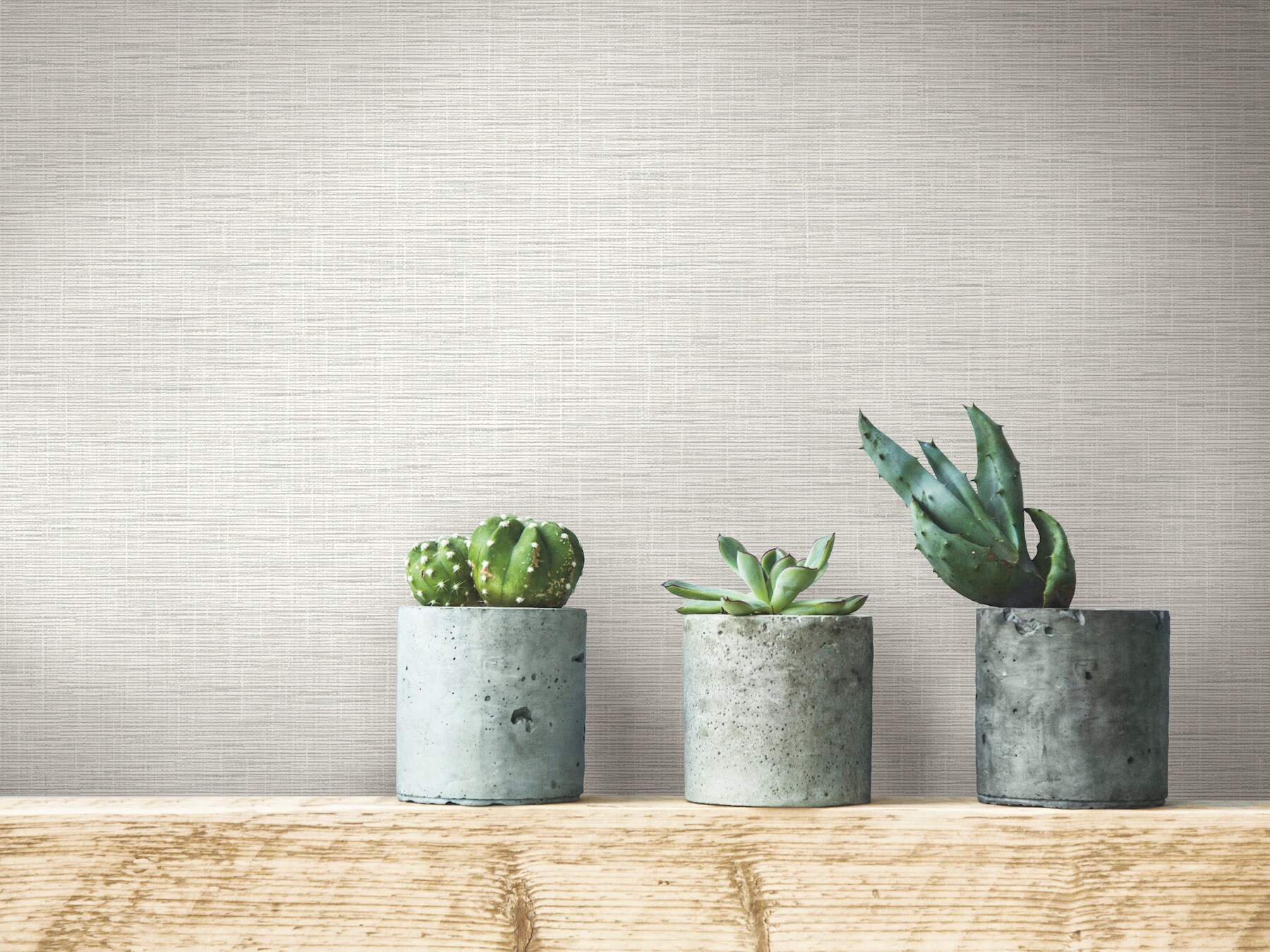 York Wallcoverings FH4059 wallpaper - View #2
