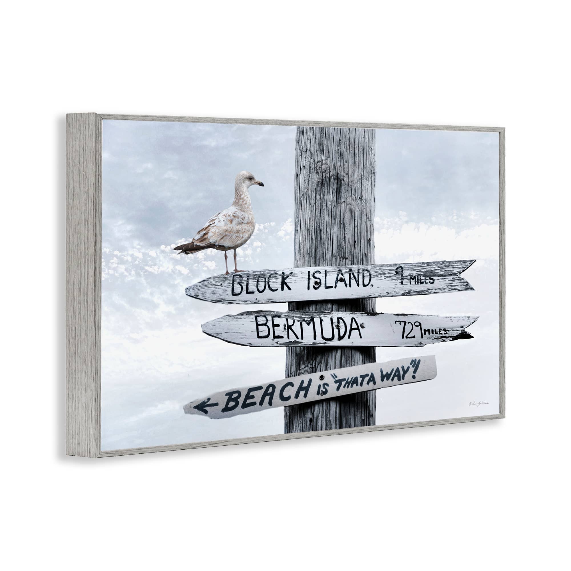 Stupell Industries BS-688-GFF-16X24 Wall-Art - View #2