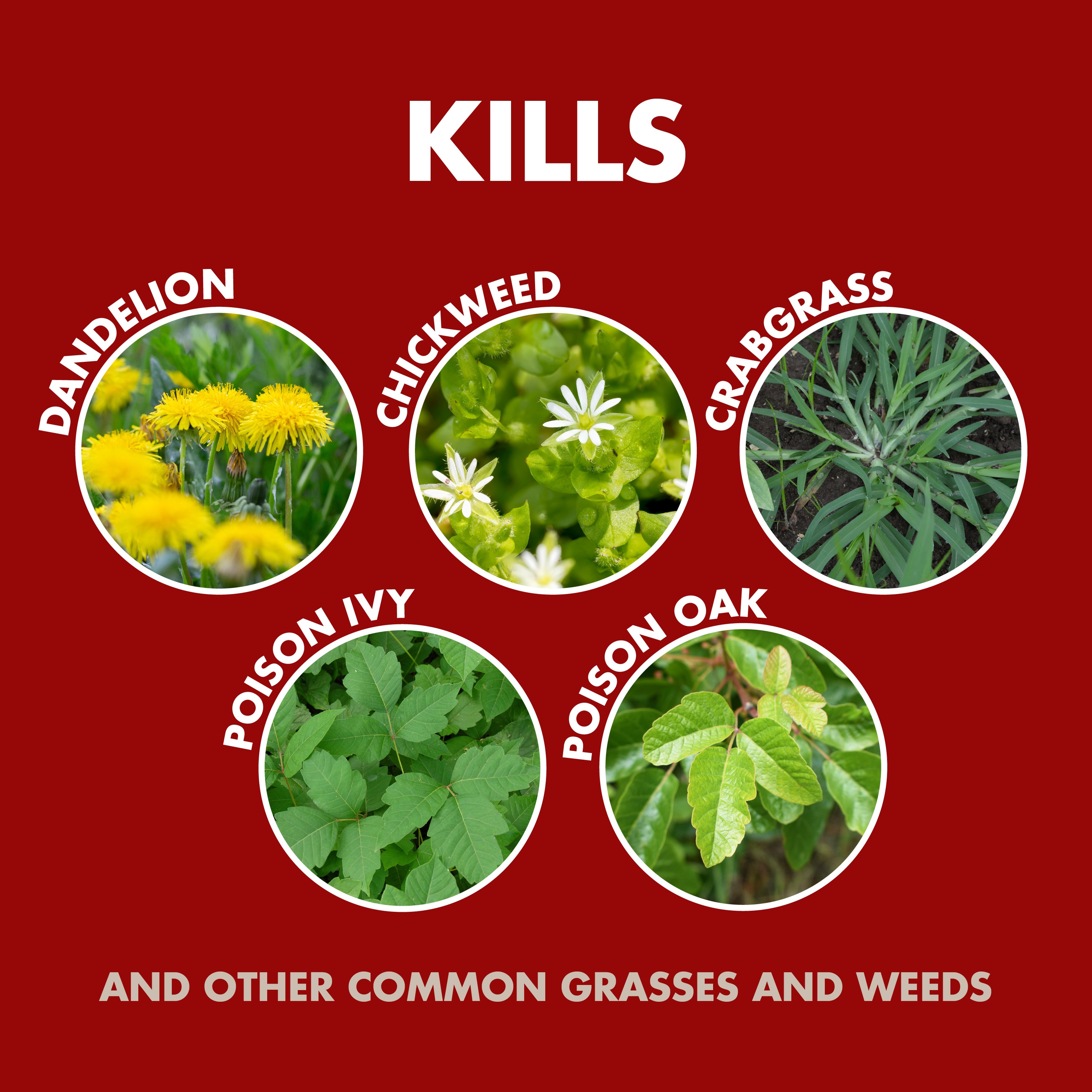 Spectracide HG-97049 Weed-Killers - View #4
