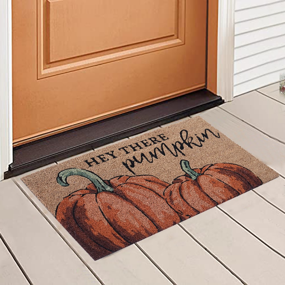 Style Selections 2-ft x 3-ft Natural Rectangular Indoor or Outdoor  Decorative Door Mat in the Mats department at