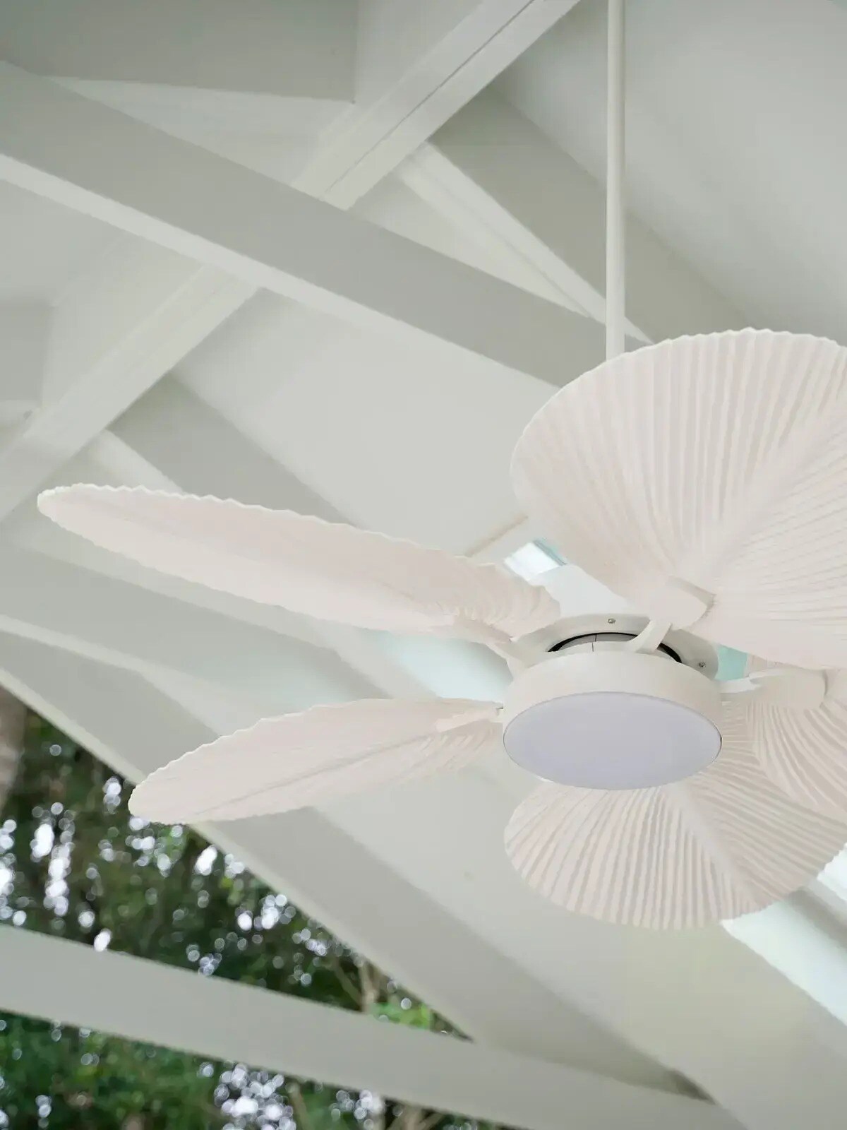 Lucci Air 21065401 Ceiling-Fans - View #13