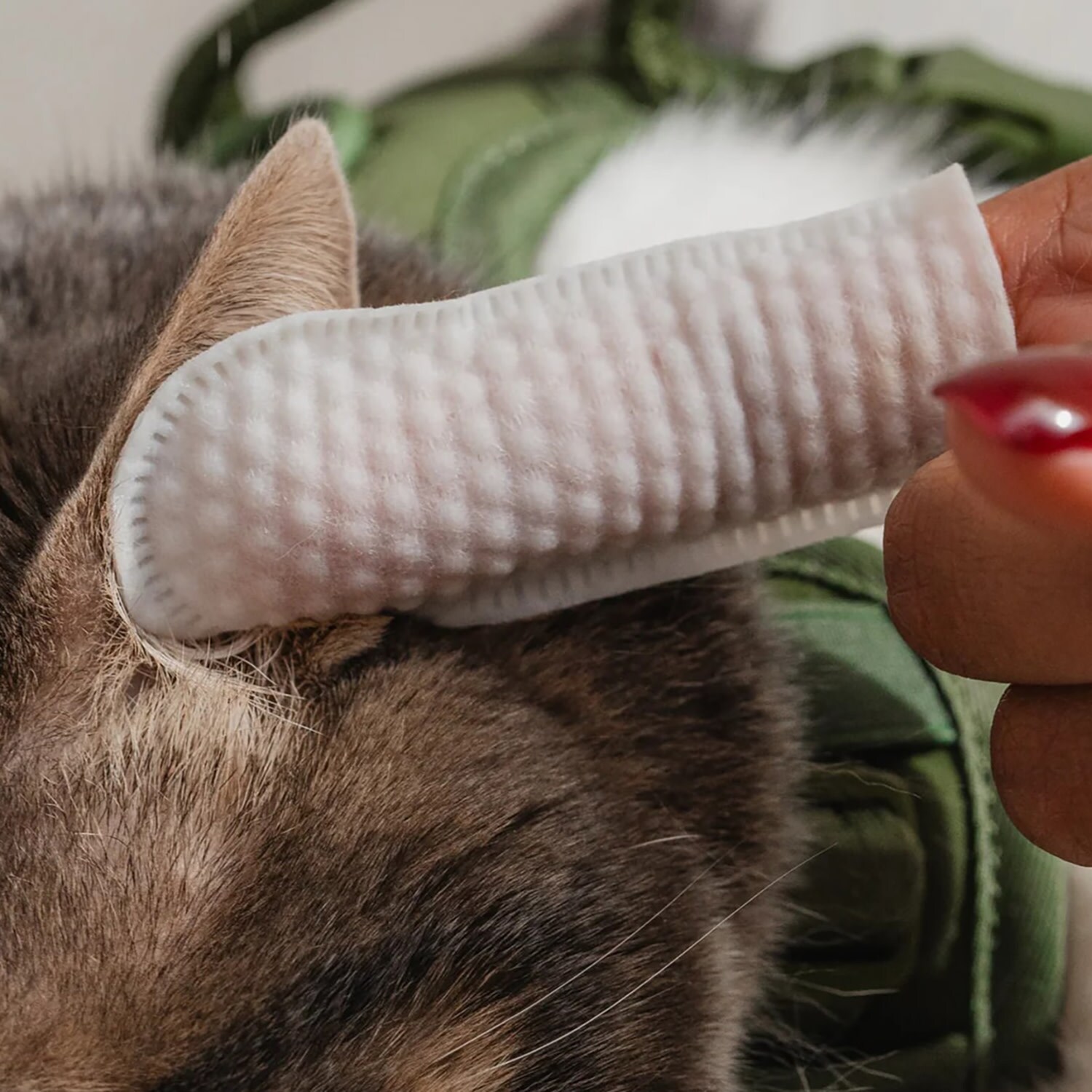 Dexypaws G0871789005759 Pet-Grooming-Supplies - View #5