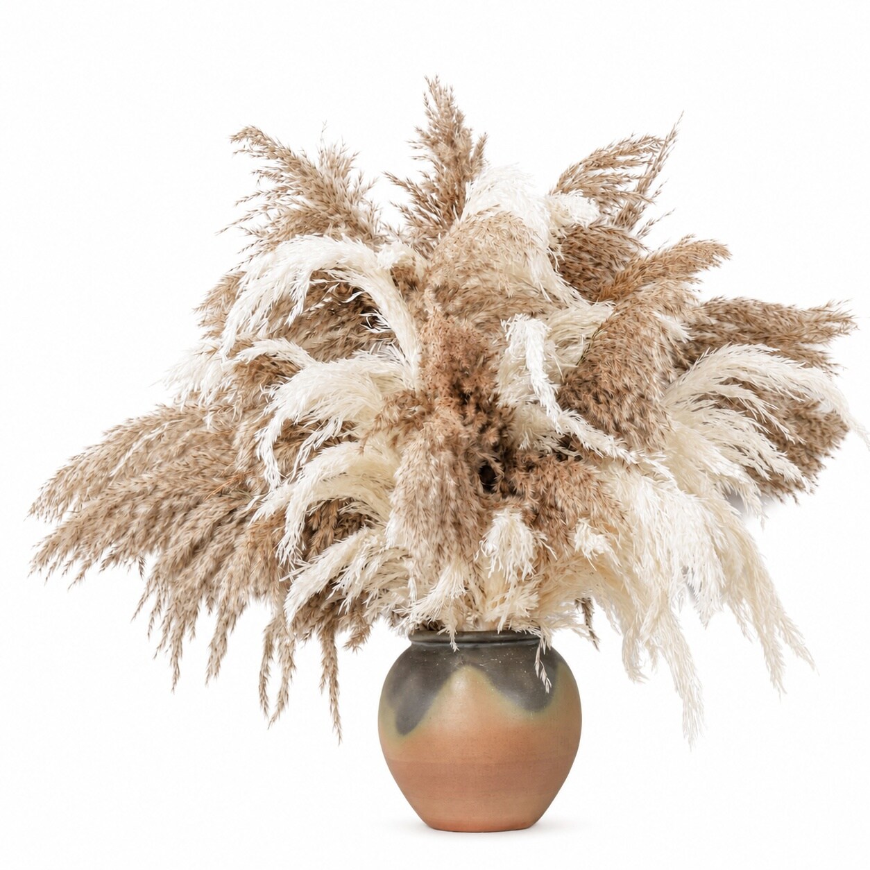 Aoibox  28 in Brown and White Artificial Pampas Grass Stems Tall Fluffy Faux Plumes for Vases 20 Pack
