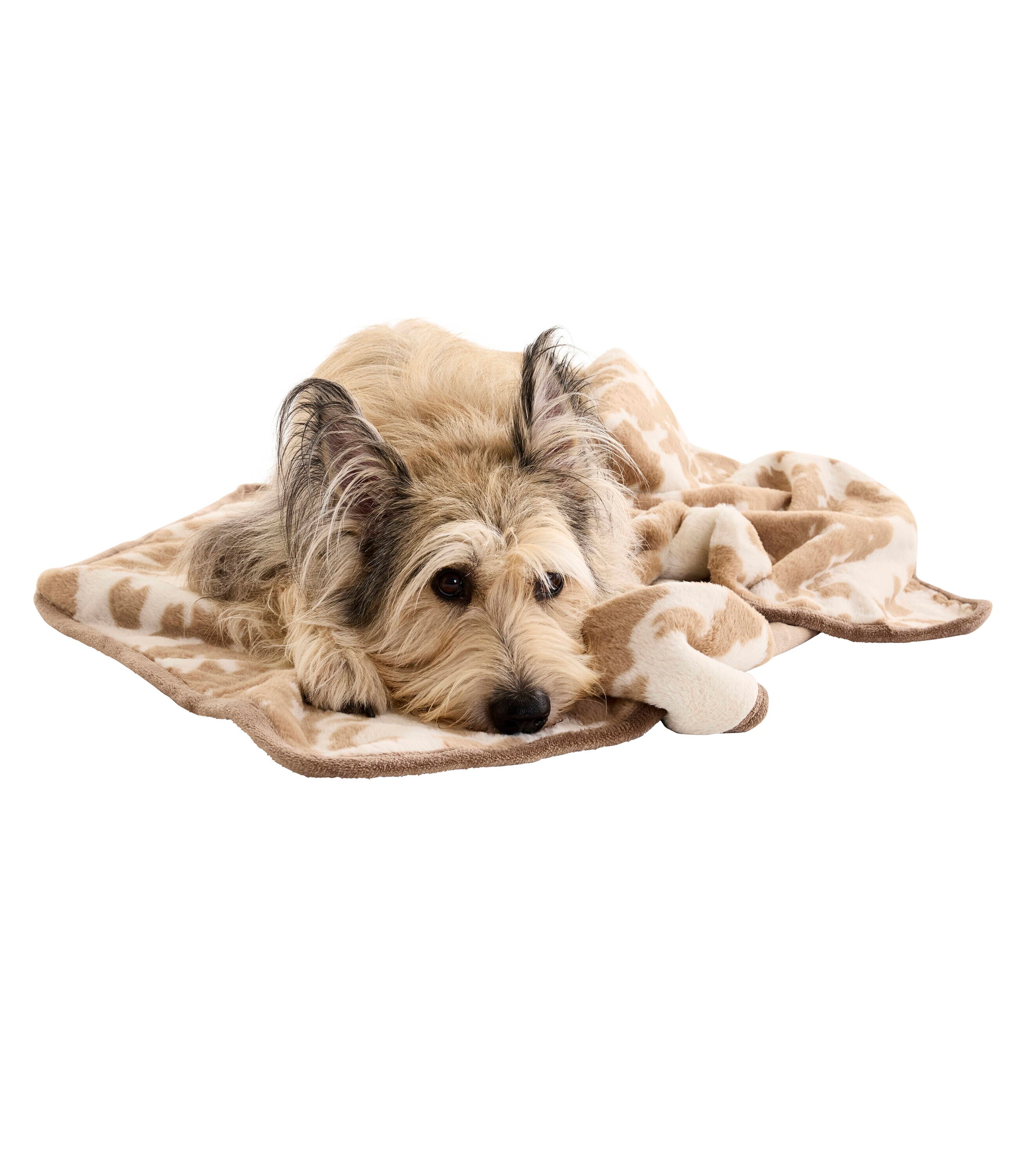 Style Selections FBKT257-LGTAN01 Outdoor-Kennel-Accessories - View #7