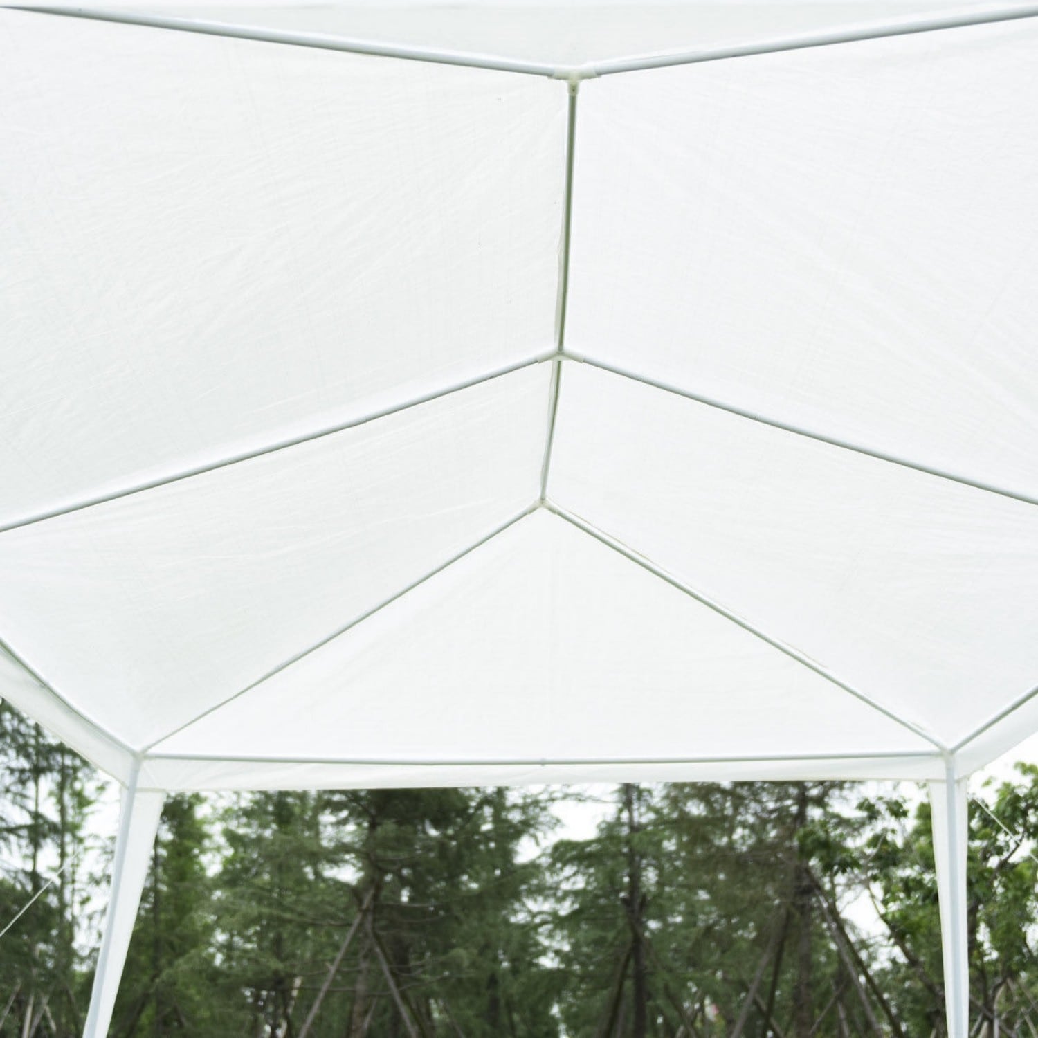 Ayelon CV3604 Canopies-Sl - View #6