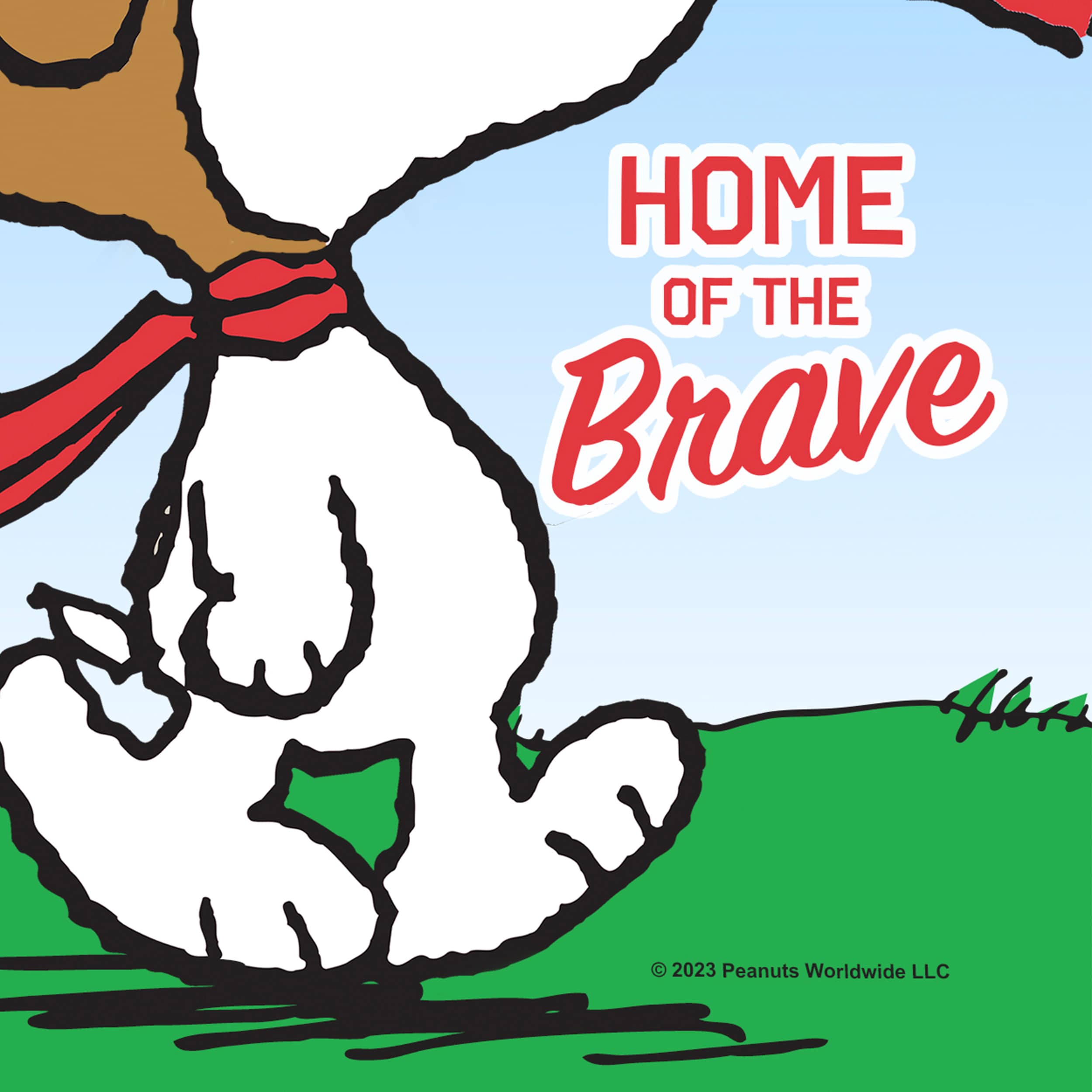 Peanuts 10-1314-51-01 Decorative-Banner-Flags - View #4