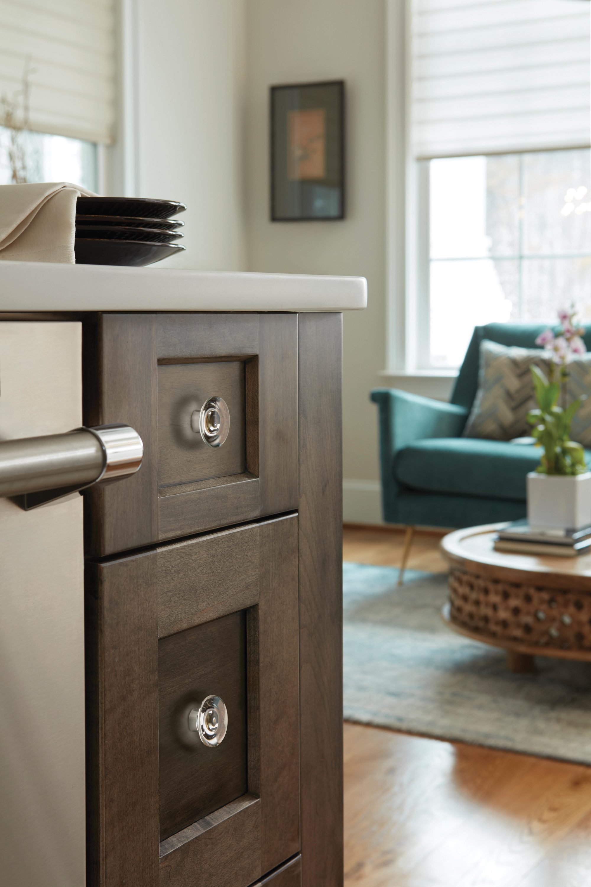 Clear and Brushed Nickel Round Cabinet Knob with Mounting Hardware