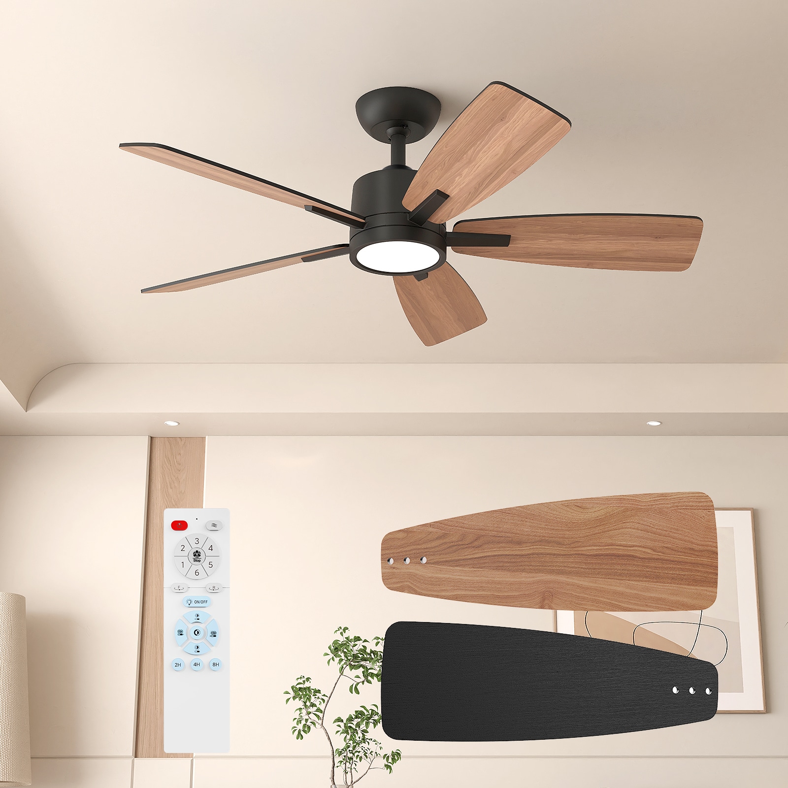 TALOYA TLY42-BK-5D-S5 Ceiling-Fans - View #10