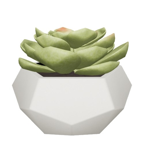 Three-dimensional representation of the product
