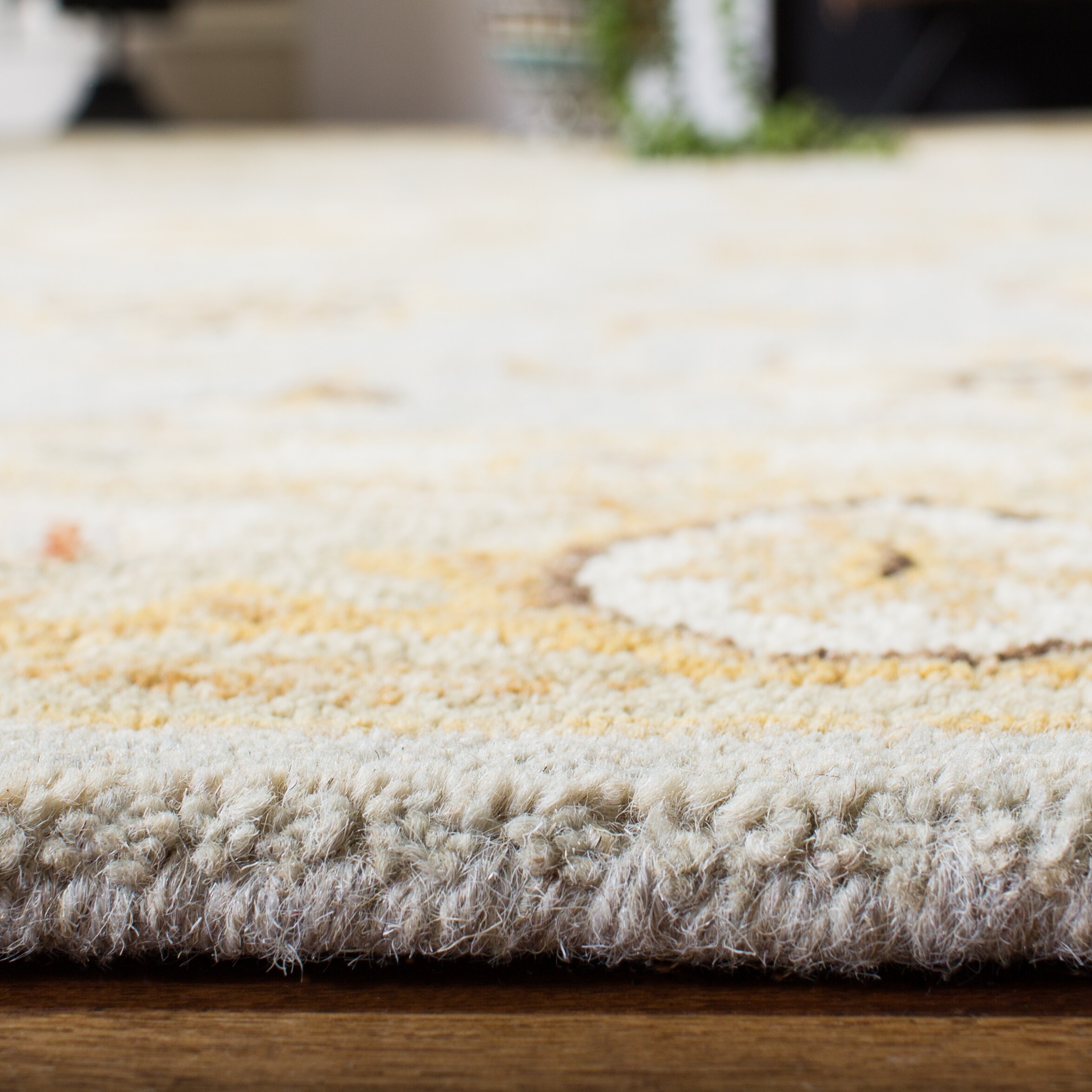 Safavieh AN556B-212 rugs - View #6