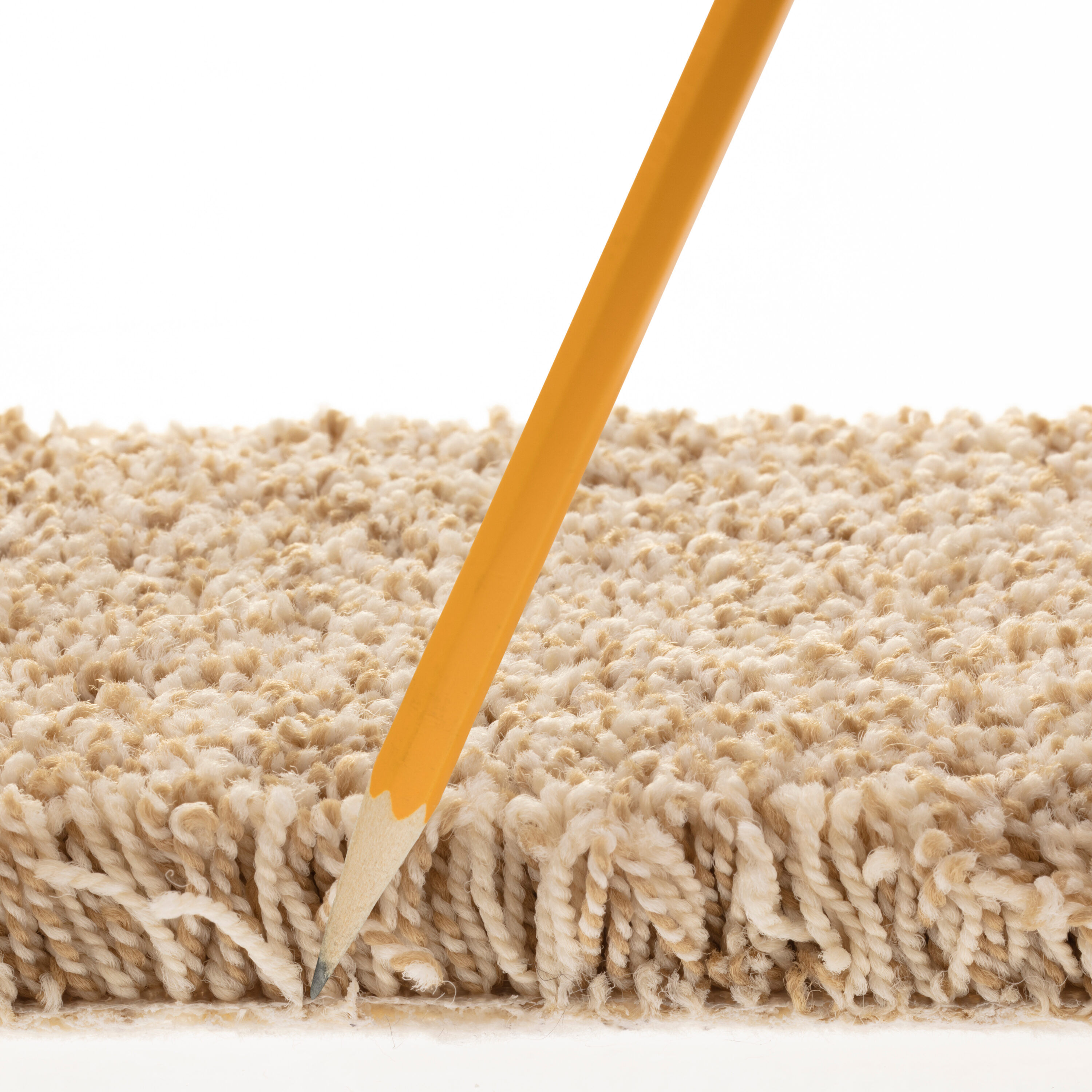 STAINMASTER PetProtect 7L858 - 223 - SAMP Carpet-Samples - View #7