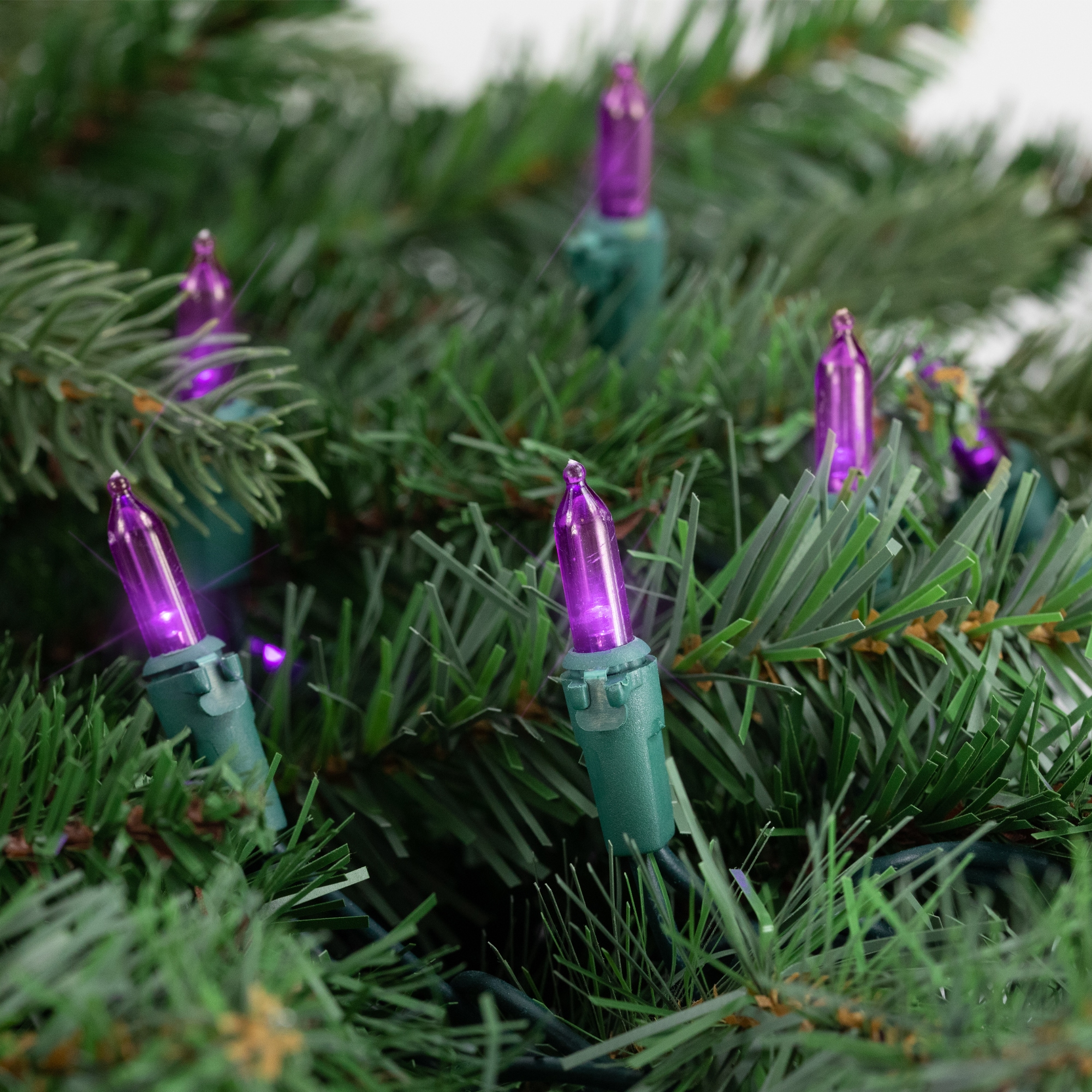 Northlight 32605426 Christmas-String-Lights - View #4
