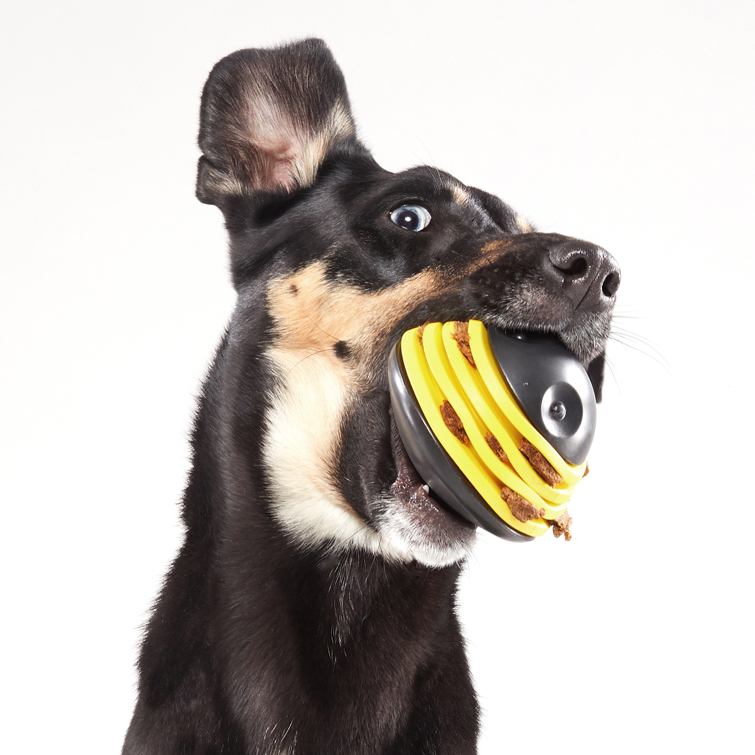 BARK 214994 Dog-Toys - View #6