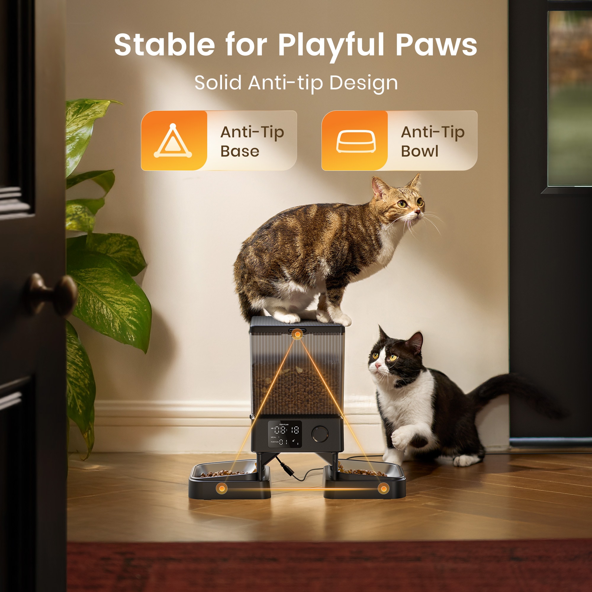oneisall Automatic Cat Feeder 5L for 2 Pets with Dual Bowls Smart Pet ...