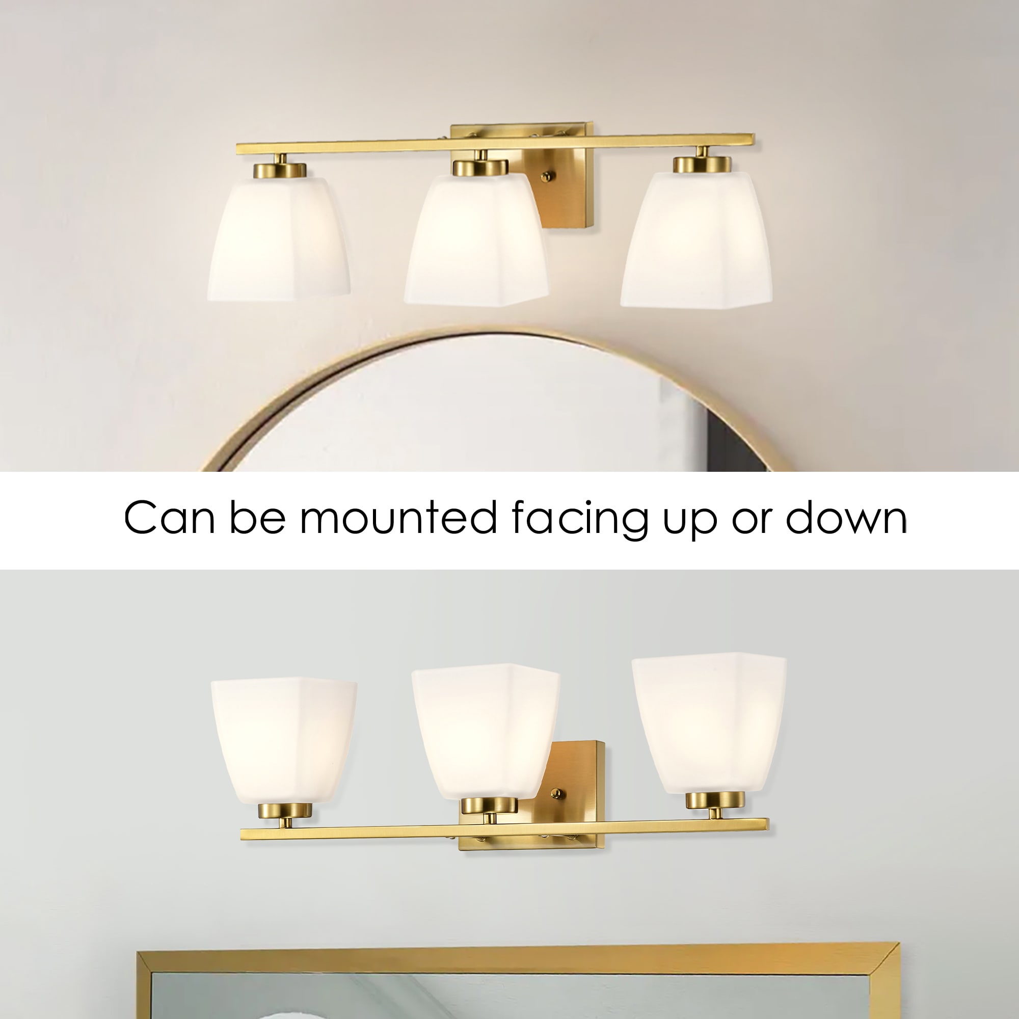 Edvivi EW2858GD b089995 - View #4