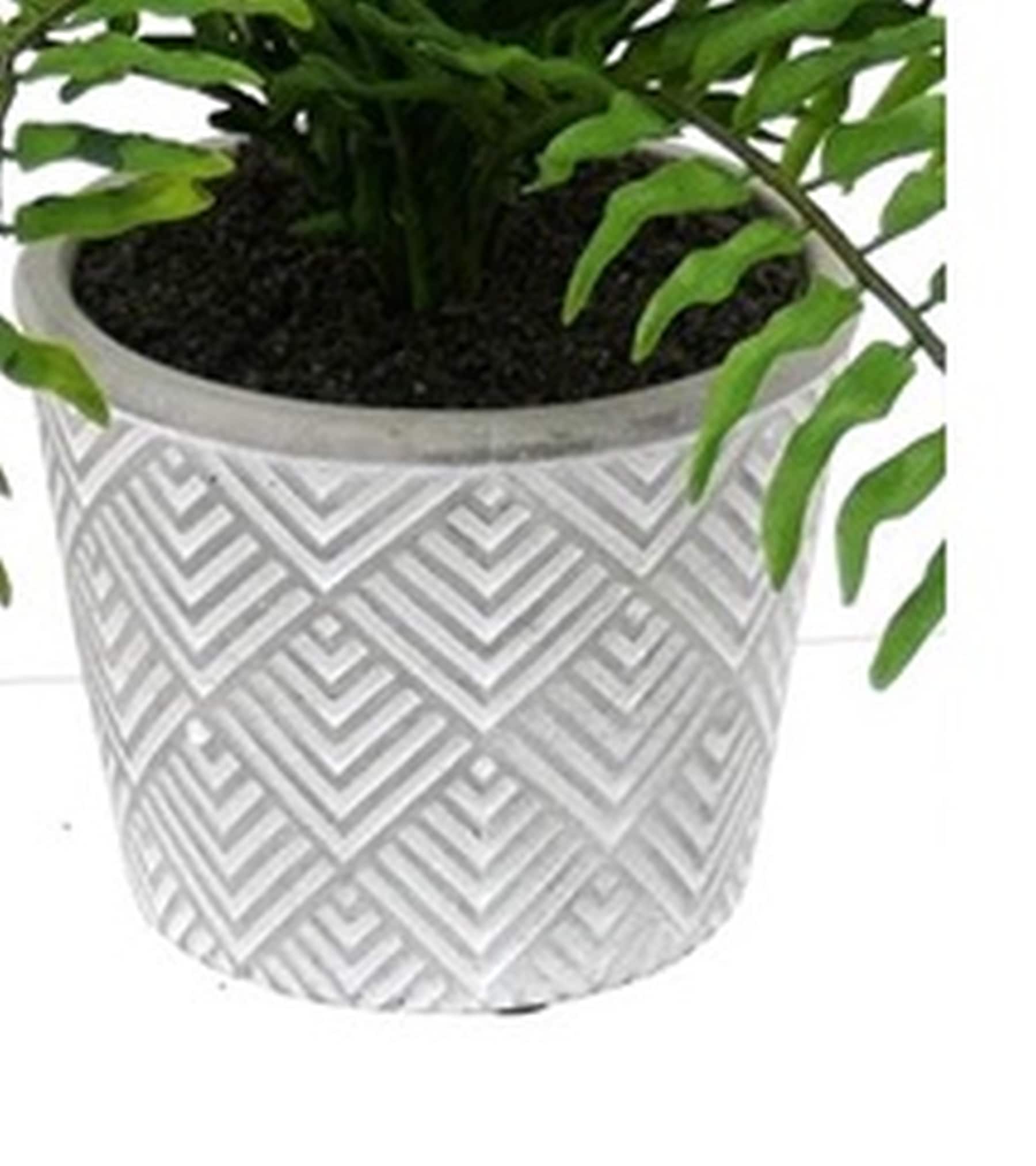 allen + roth 21LOW236 Artificial-Plants-Trees - View #6