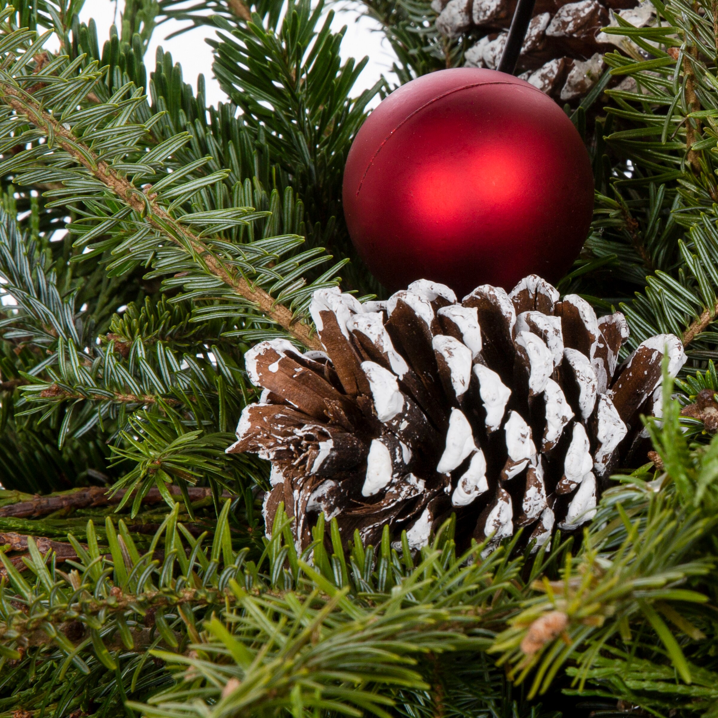 Metrolina Greenhouses 4131 Fresh-Cut-Christmas-Decorations - View #2