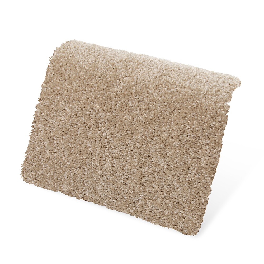 Style Selections SS016-L003-0808 Carpet-Samples - View #3