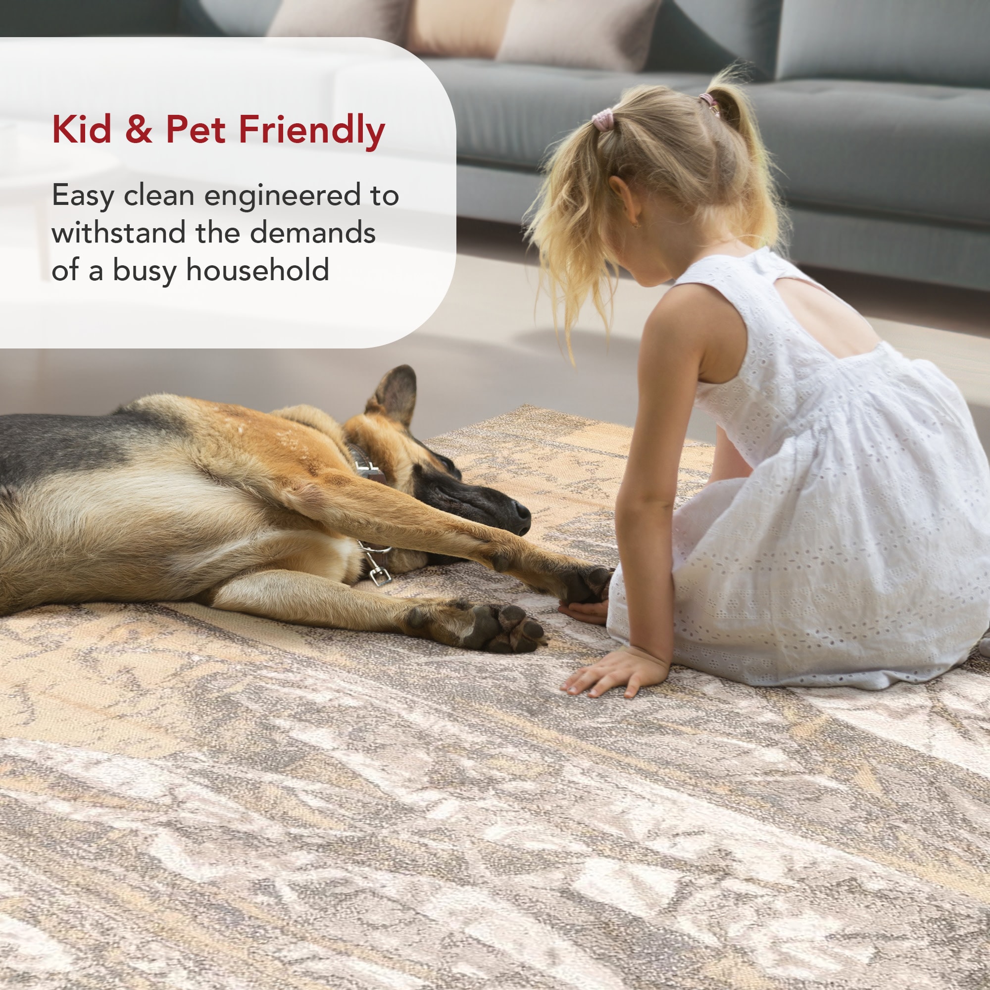 nuLOOM 200CFDR03A-R505 rugs - View #5