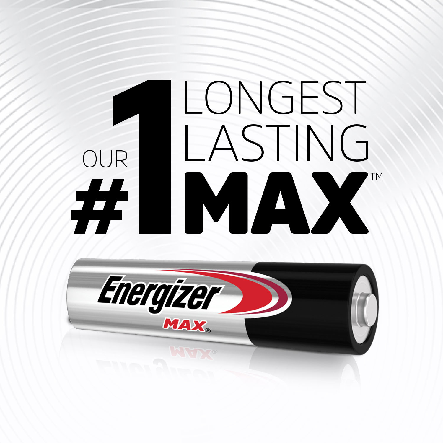 Energizer MAX AA Batteries and AAA Batteries (48 Pack Total) 