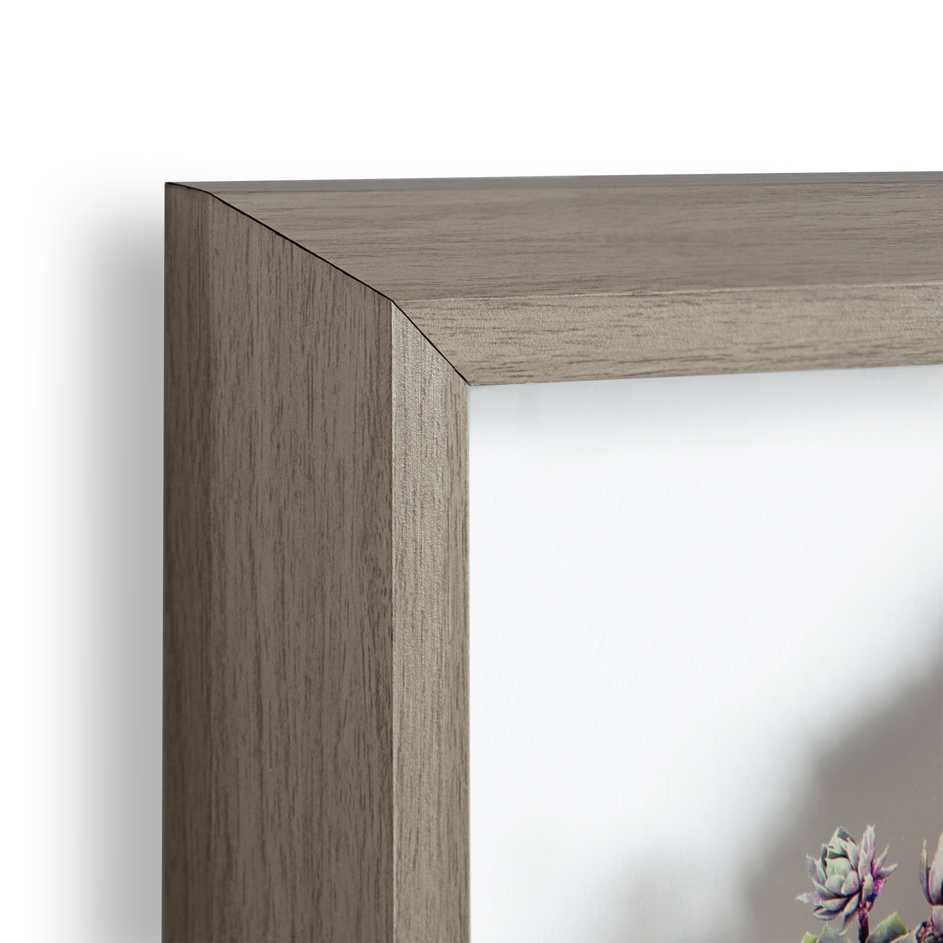 Gray Framed Botanical Succulent Glass Wall Art, 16x20