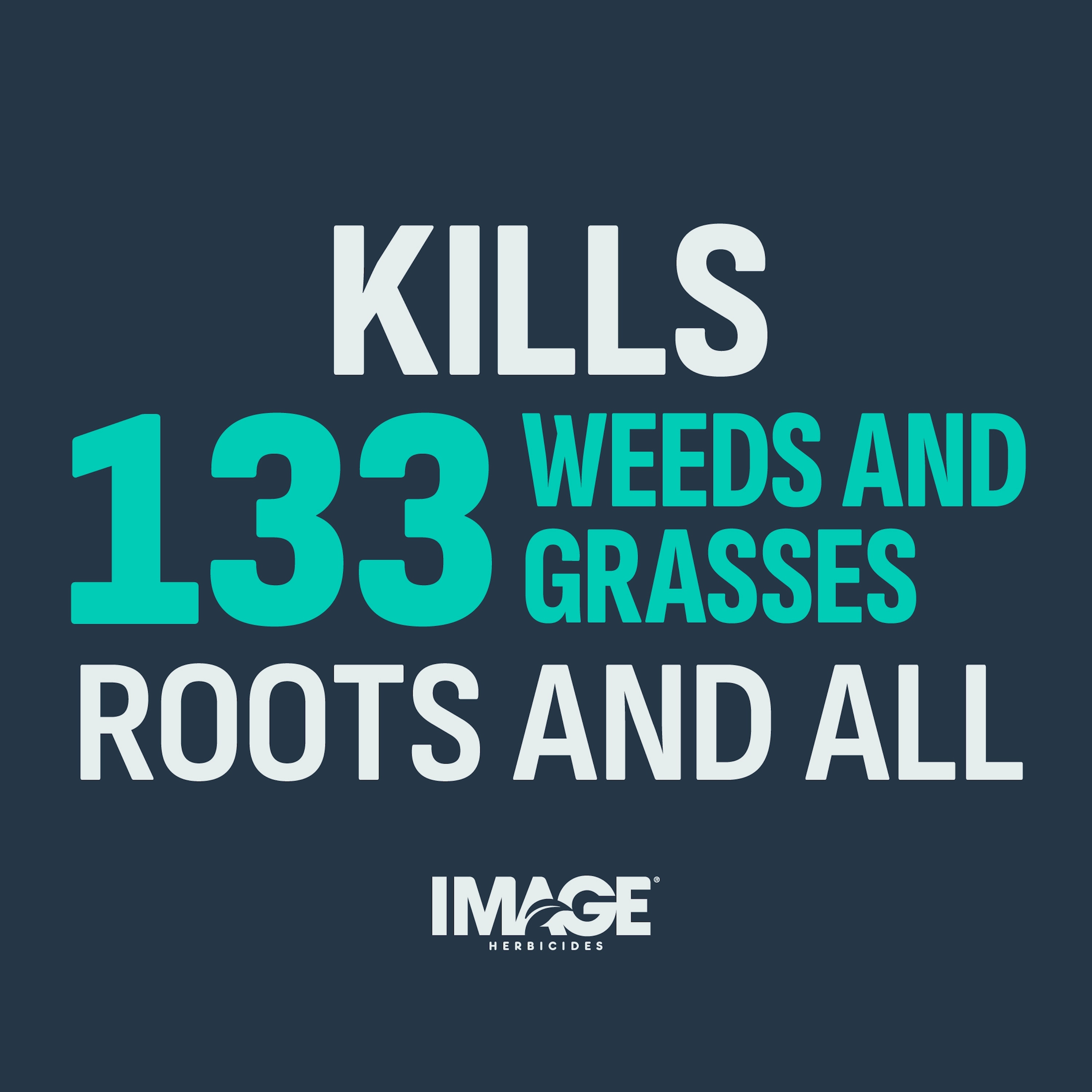 IMAGE 7062460009 Weed-Killers - View #6