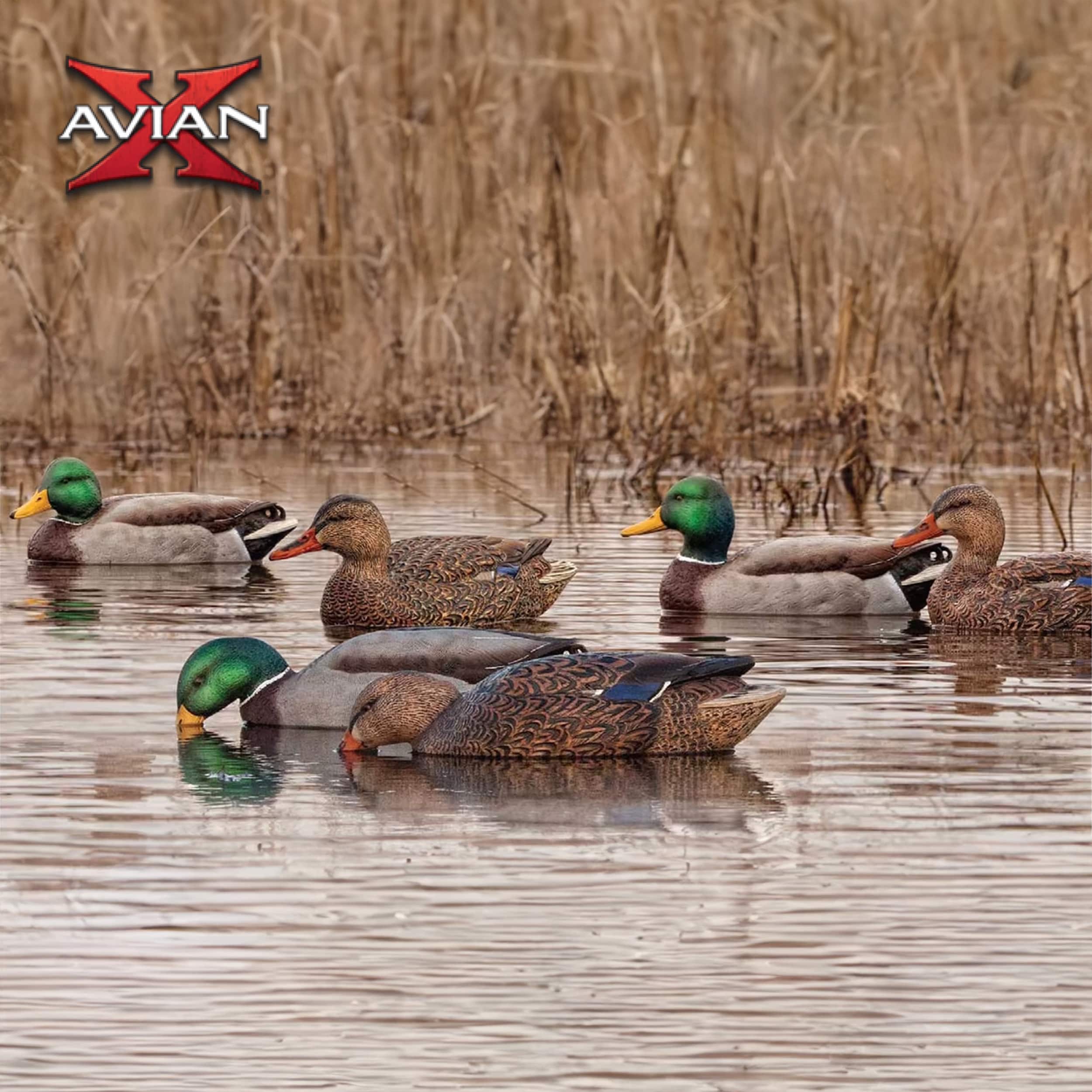  Avian X 408535 Hunting-Equipment - View #7
