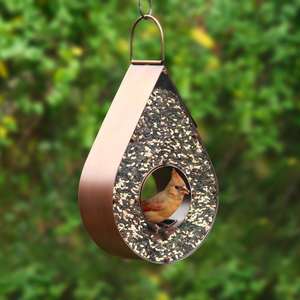 Good Directions Copper Hanging Platform Bird Feeder- 6-lb in the Bird ...