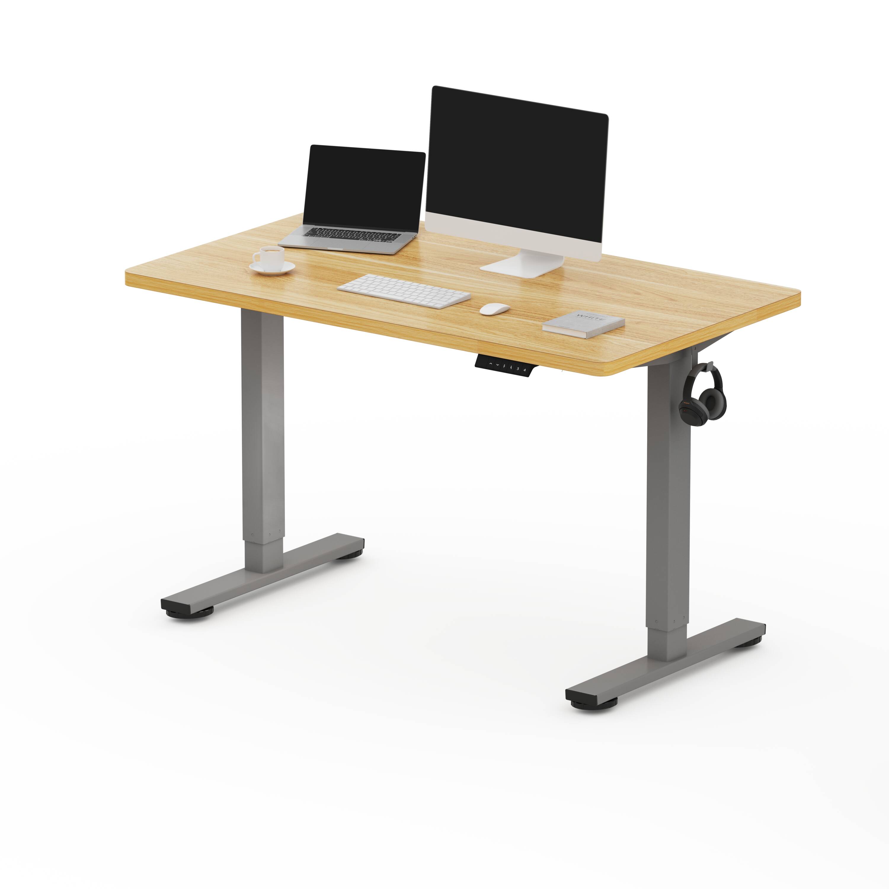 FlexiSpot E2SR4824M 48-in Brown Modern/Contemporary Standing desk