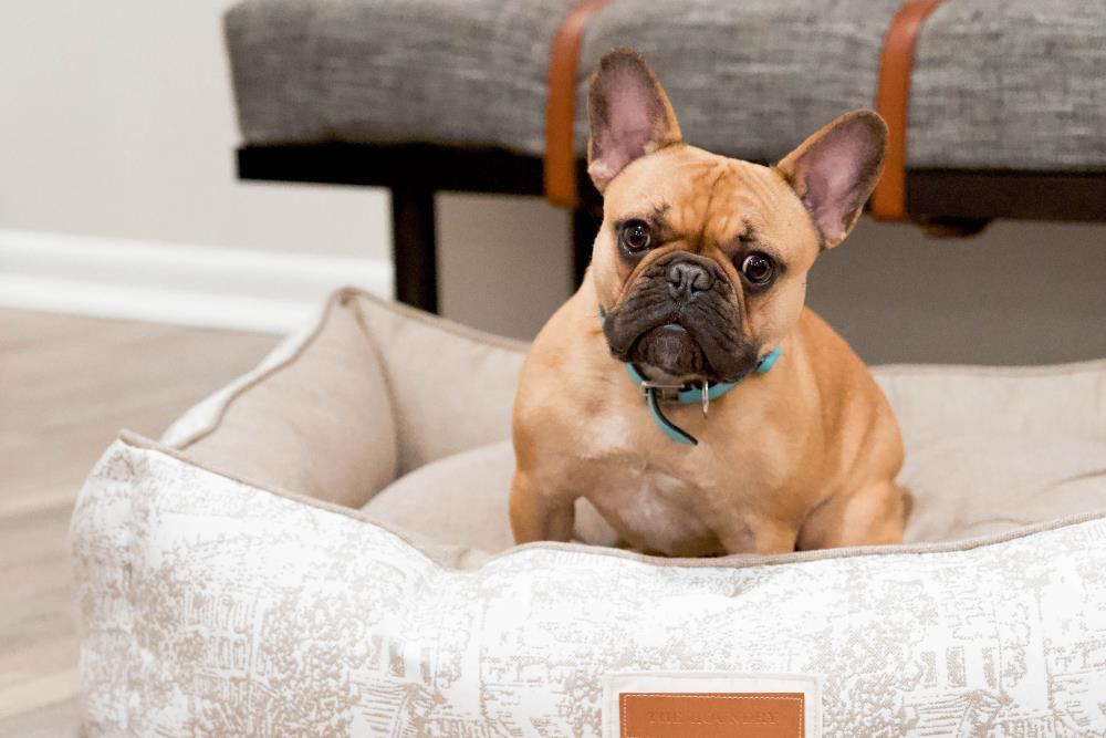 The Houndry 120015-M Pet-Beds - View #4