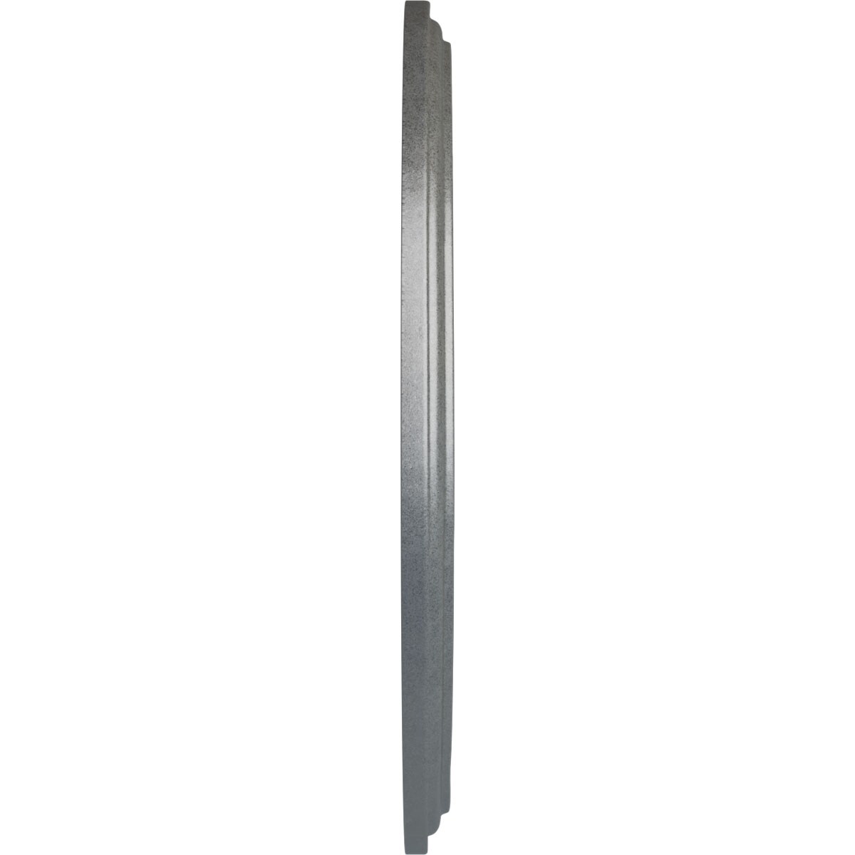 Ekena Millwork CM16GNPLS Ceiling-Medallions - View #3