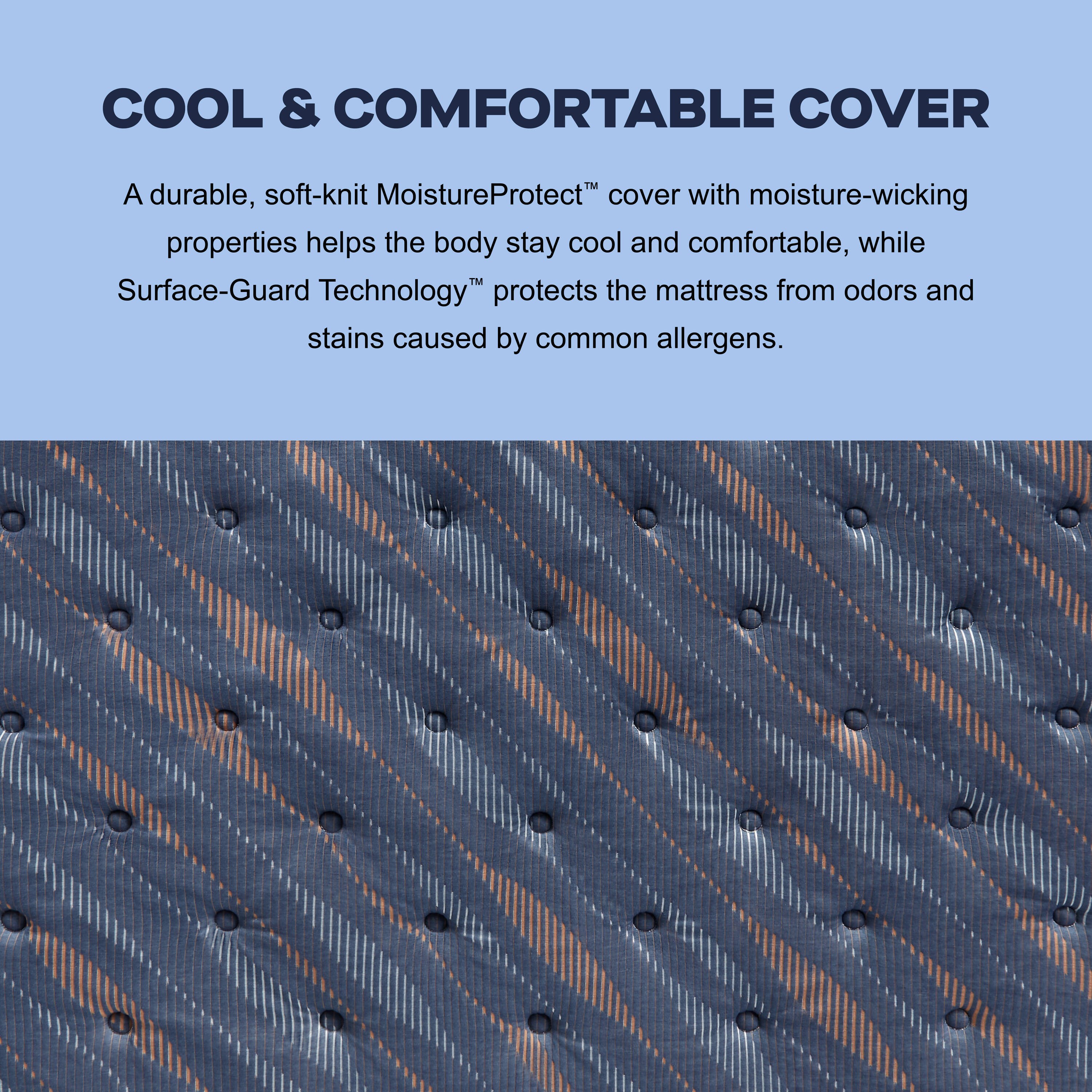 Sealy 53198331 Mattresses-Boxsprings - View #7