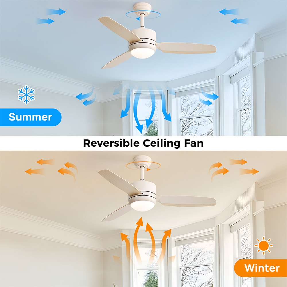 Sofucor LW-46K001-MH Ceiling-Fans - View #5