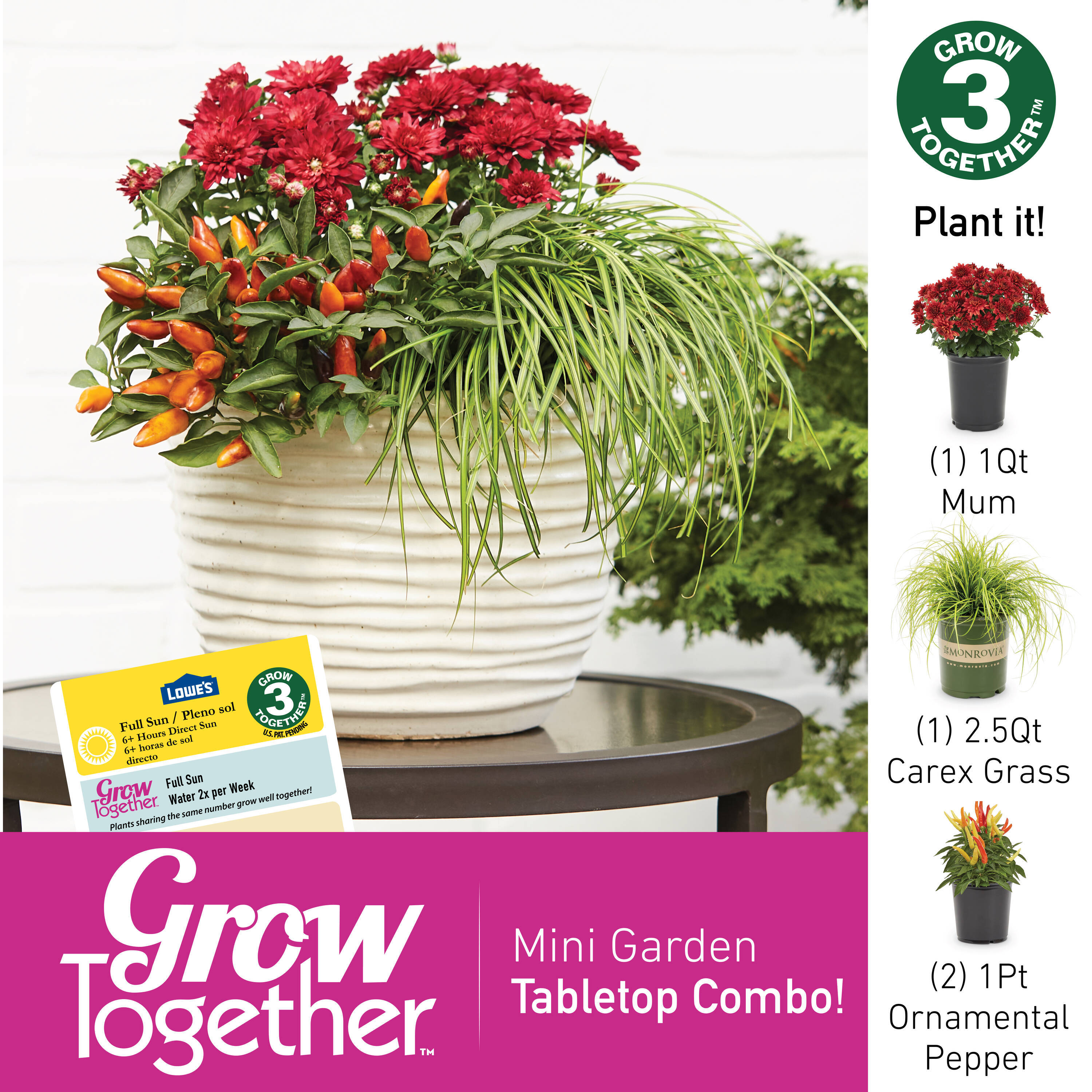 Lowe's 922772 annuals - View #4