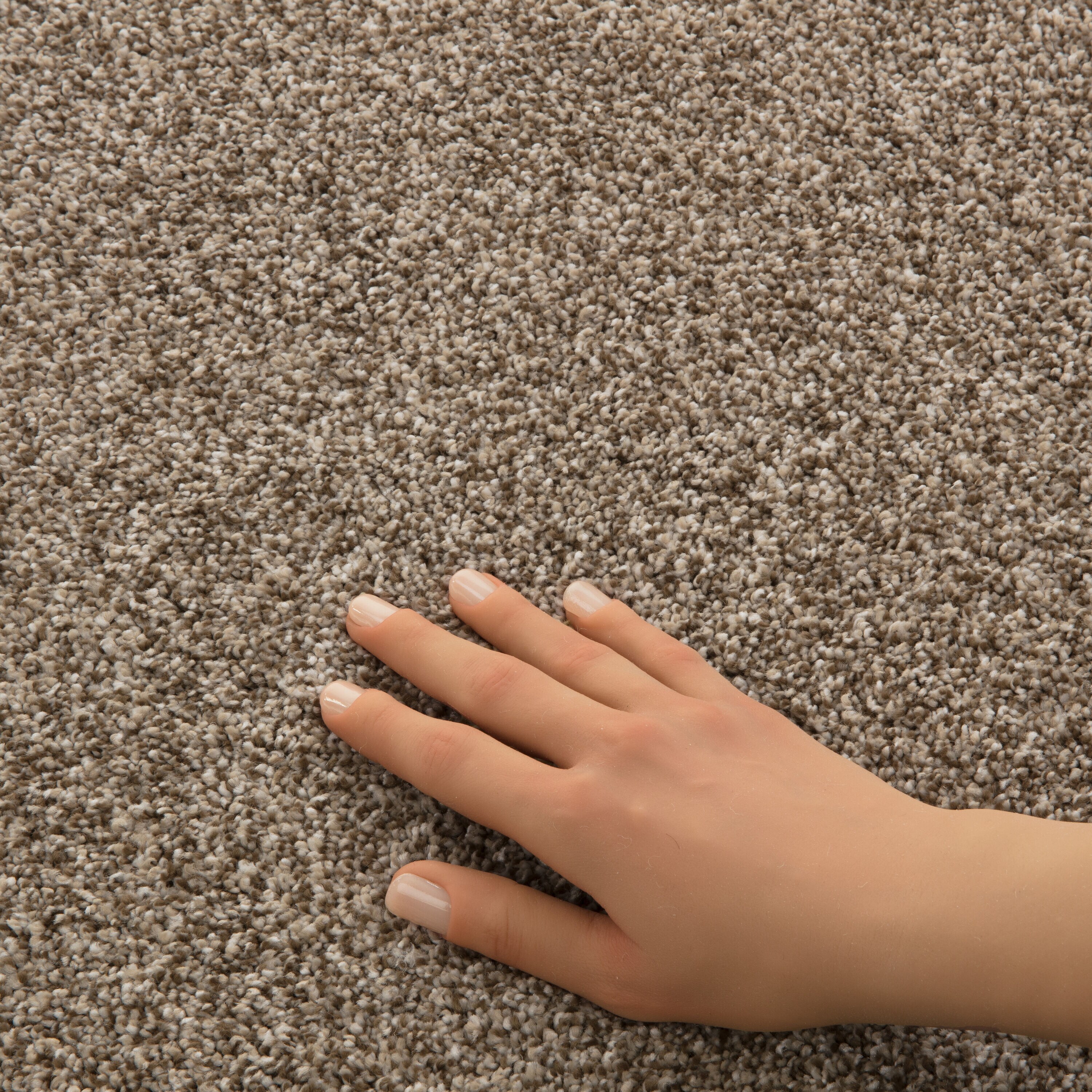 STAINMASTER PetProtect 7L99400133 Carpet-Panel - View #7