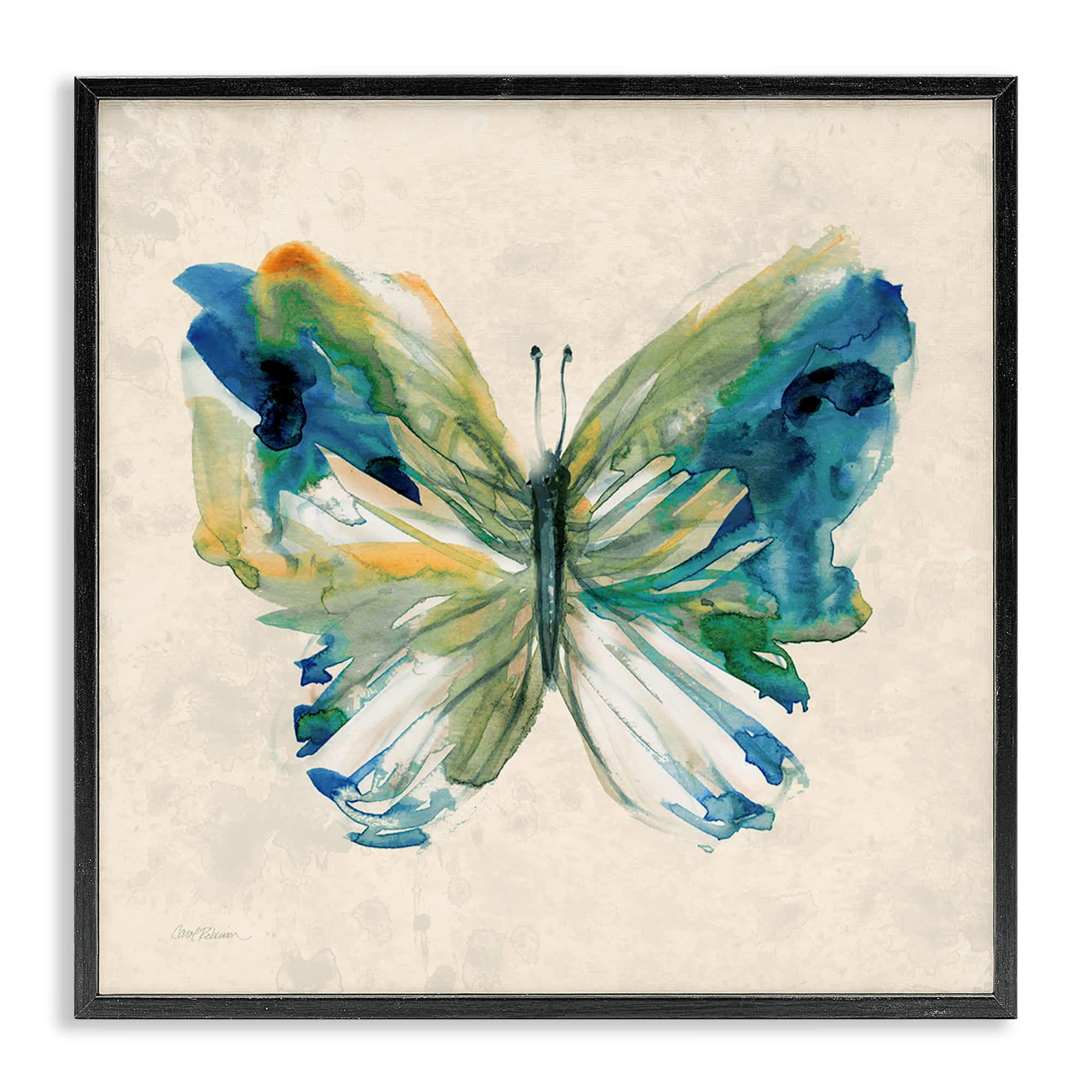 Stupell Industries BS-247-FR-24X24 Vivid Abstract Butterfly Wings Black Framed Giclee Art By Carol Robinson 24 x 24