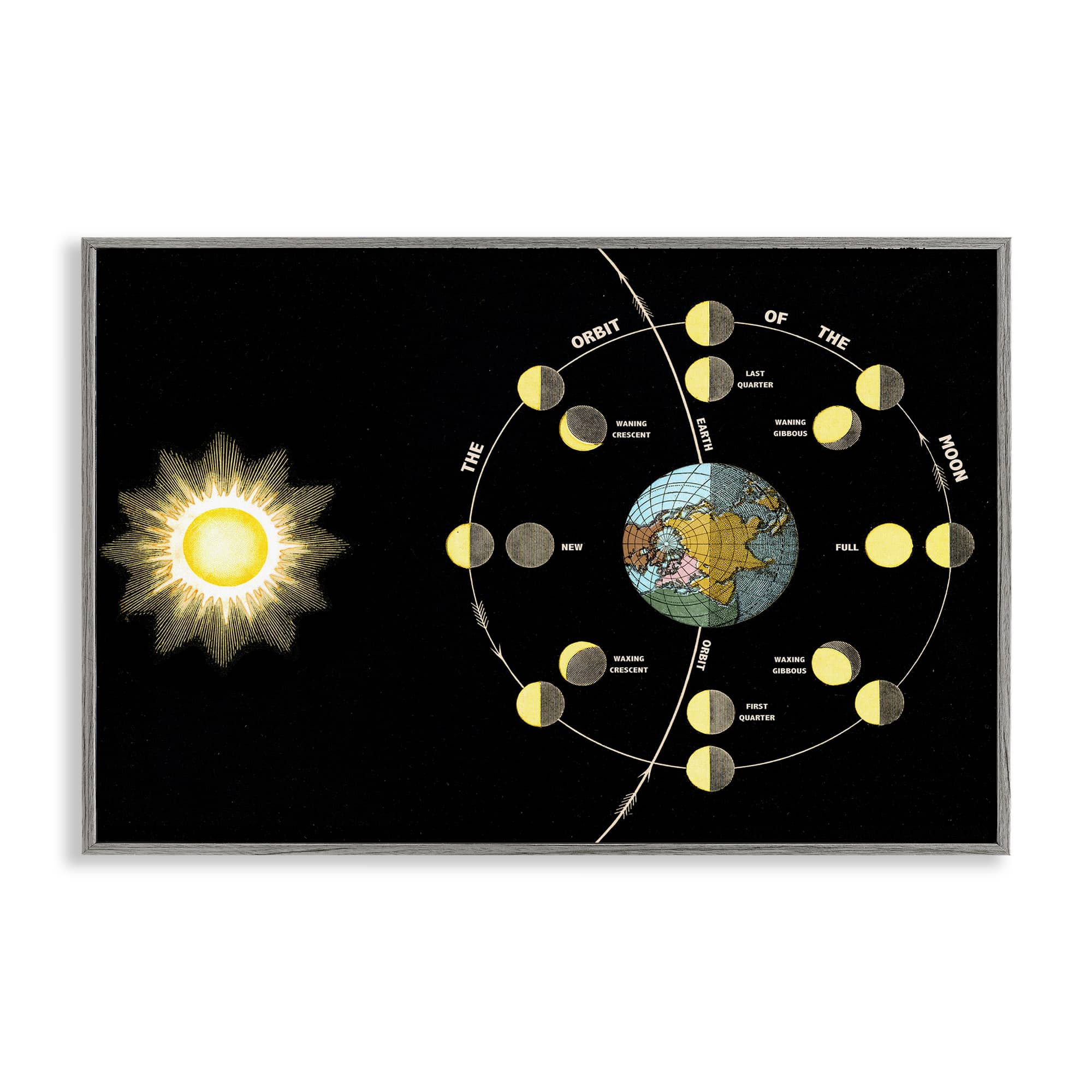 Stupell Industries BT-485-GFF-20X30 Moon's Orbit and Phases Gray Framed Giclee Art By Phillipa Katz 30 x 20