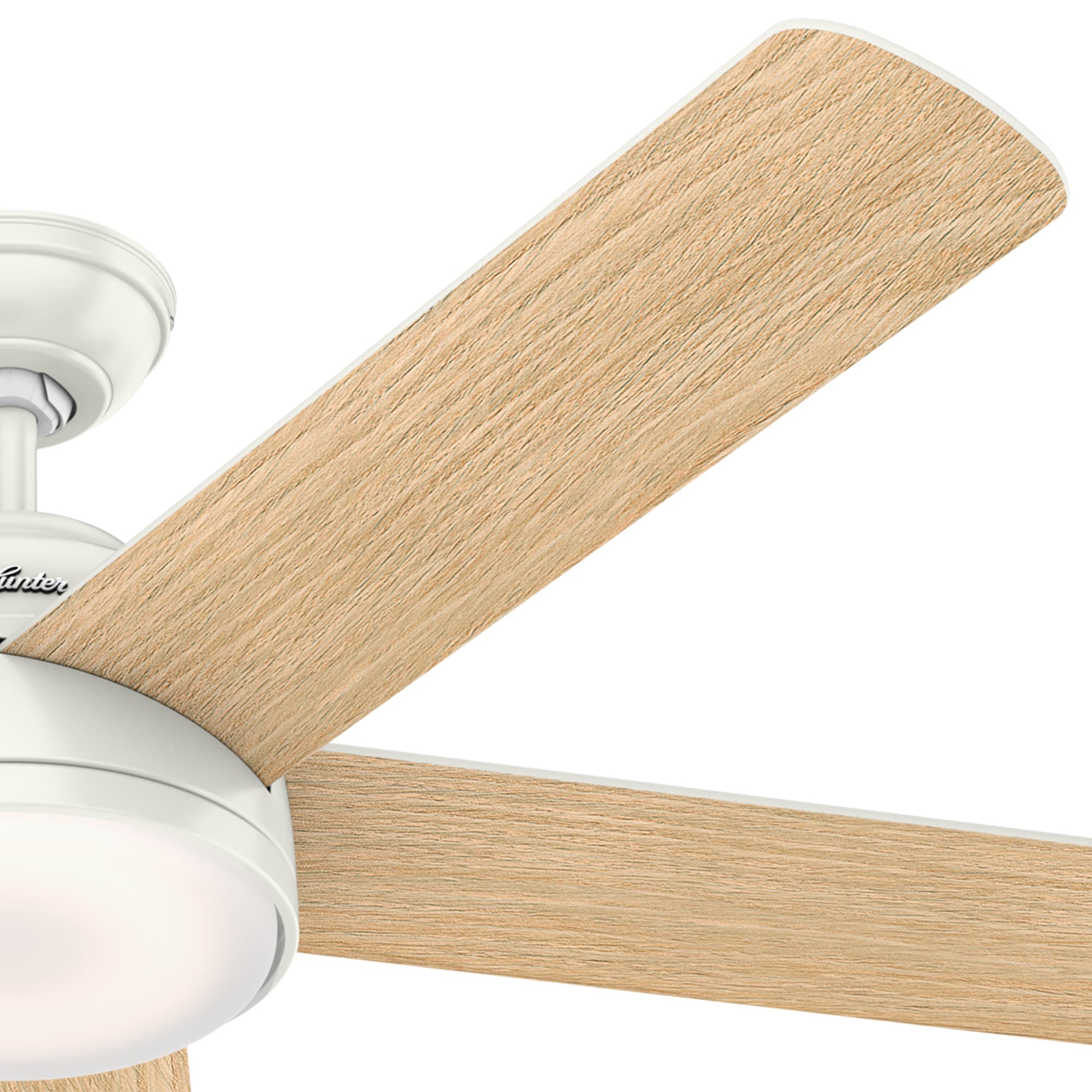 Hunter 59478 Ceiling-Fans - View #7