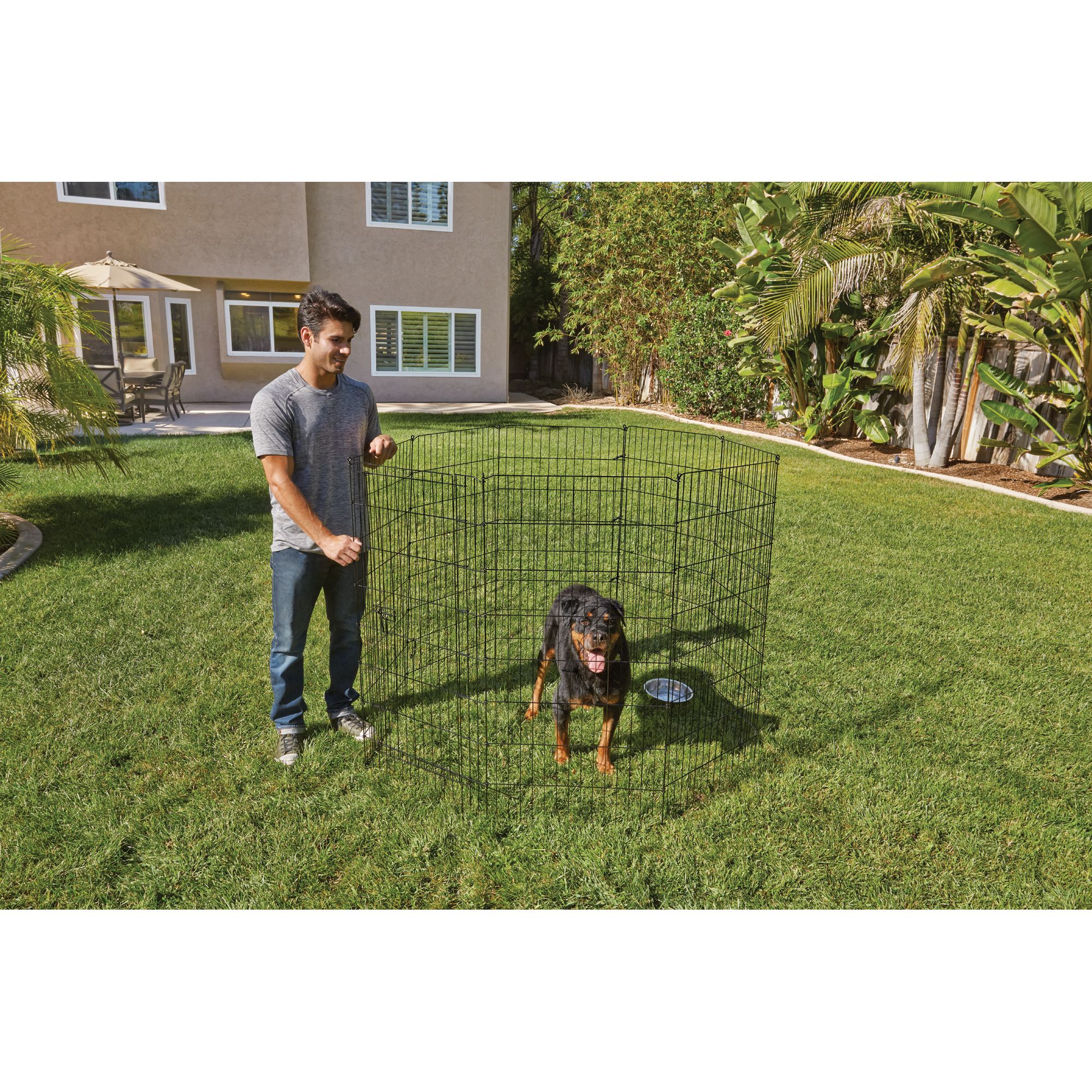 You & Me Freestanding Expandable Black Metal Pet Gate in the Pet Gates  department at